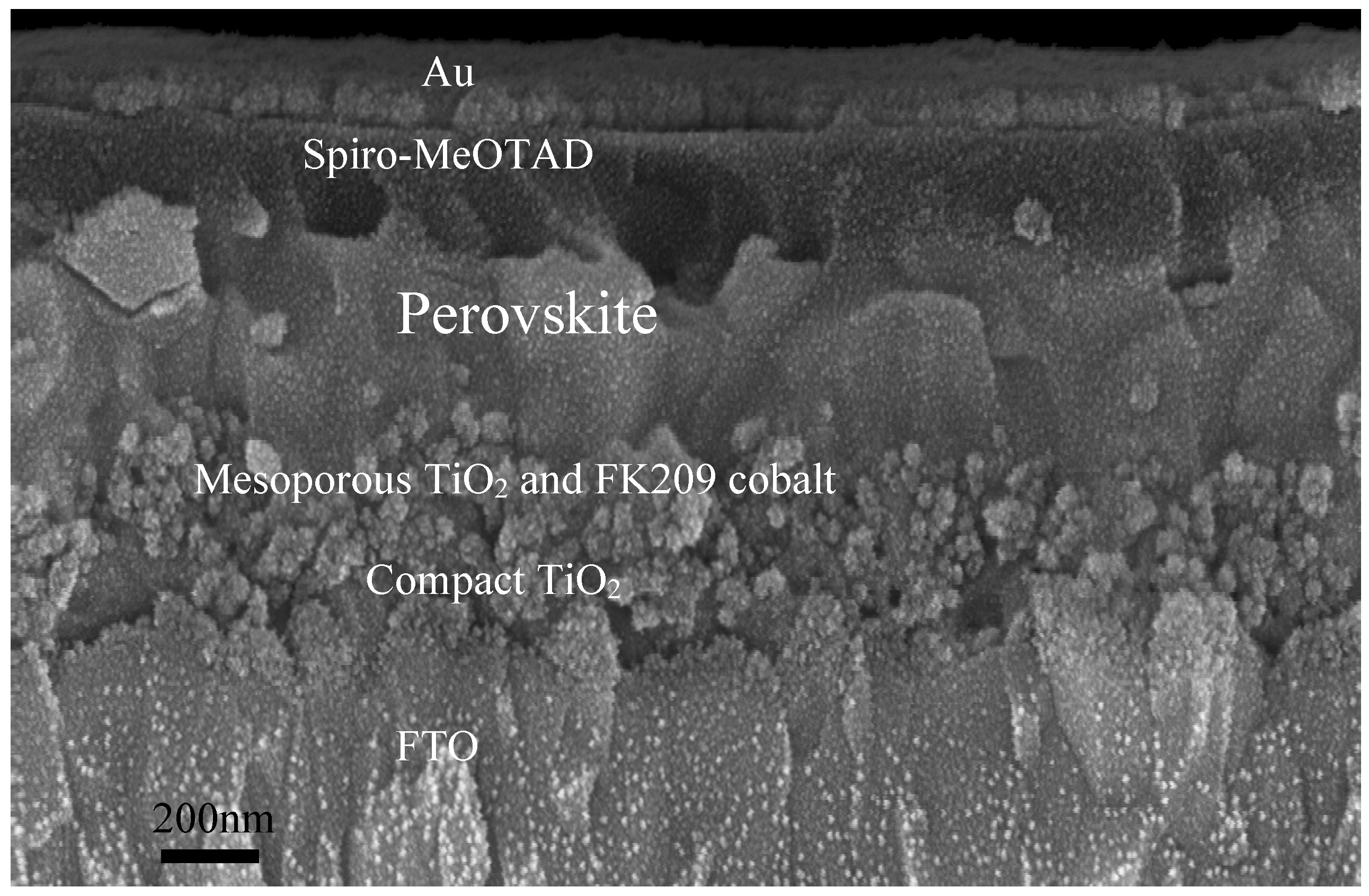 Applsci 12 09382 g011 Applsci 12 09382 g011