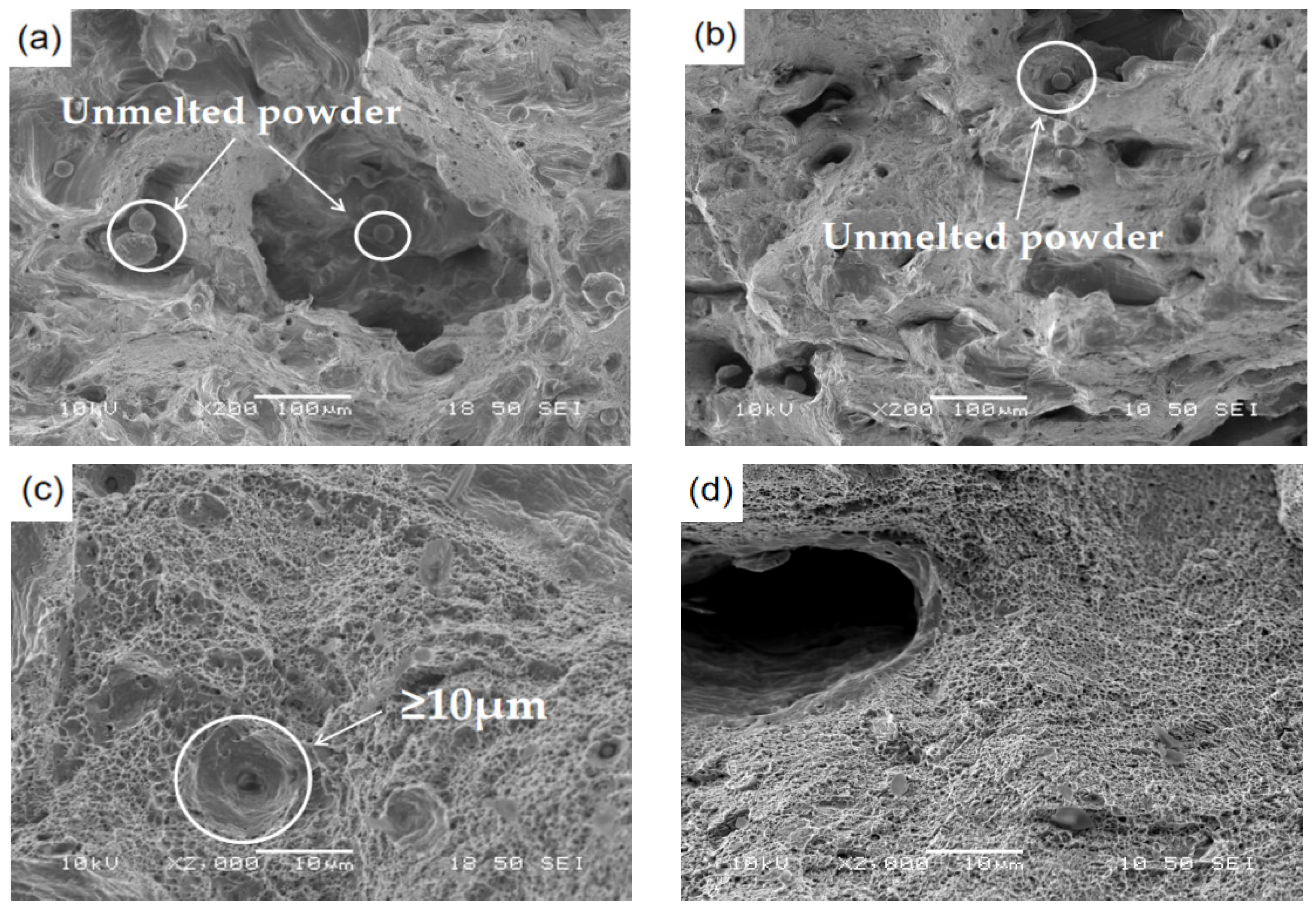 Applsci 12 09396 g013