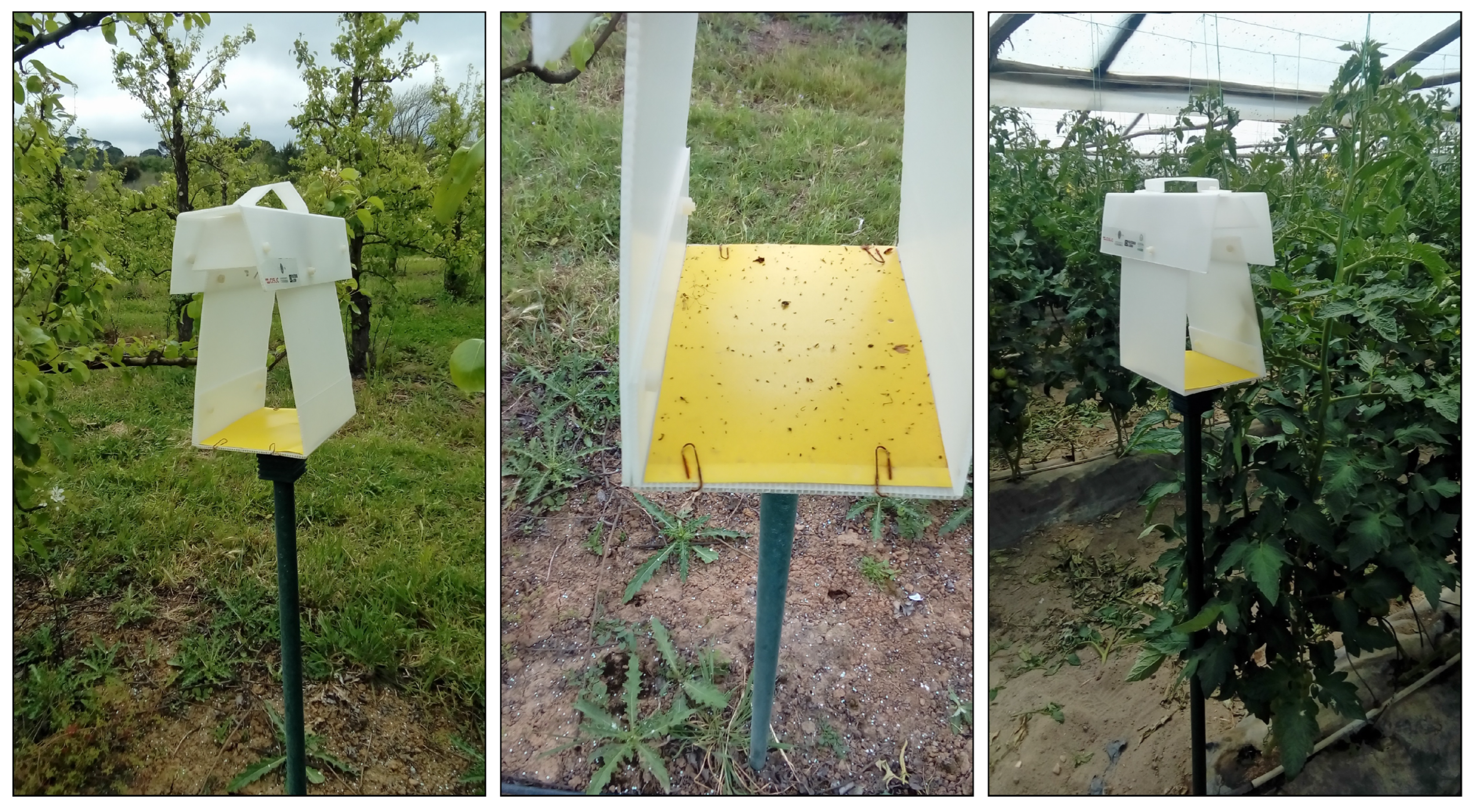 Applsci 12 09397 g0a1