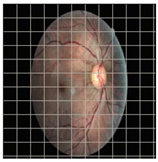 Applsci 12 09435 i001