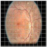 Applsci 12 09435 i005