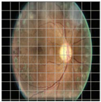 Applsci 12 09435 i009