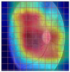 Applsci 12 09435 i011