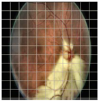 Applsci 12 09435 i013