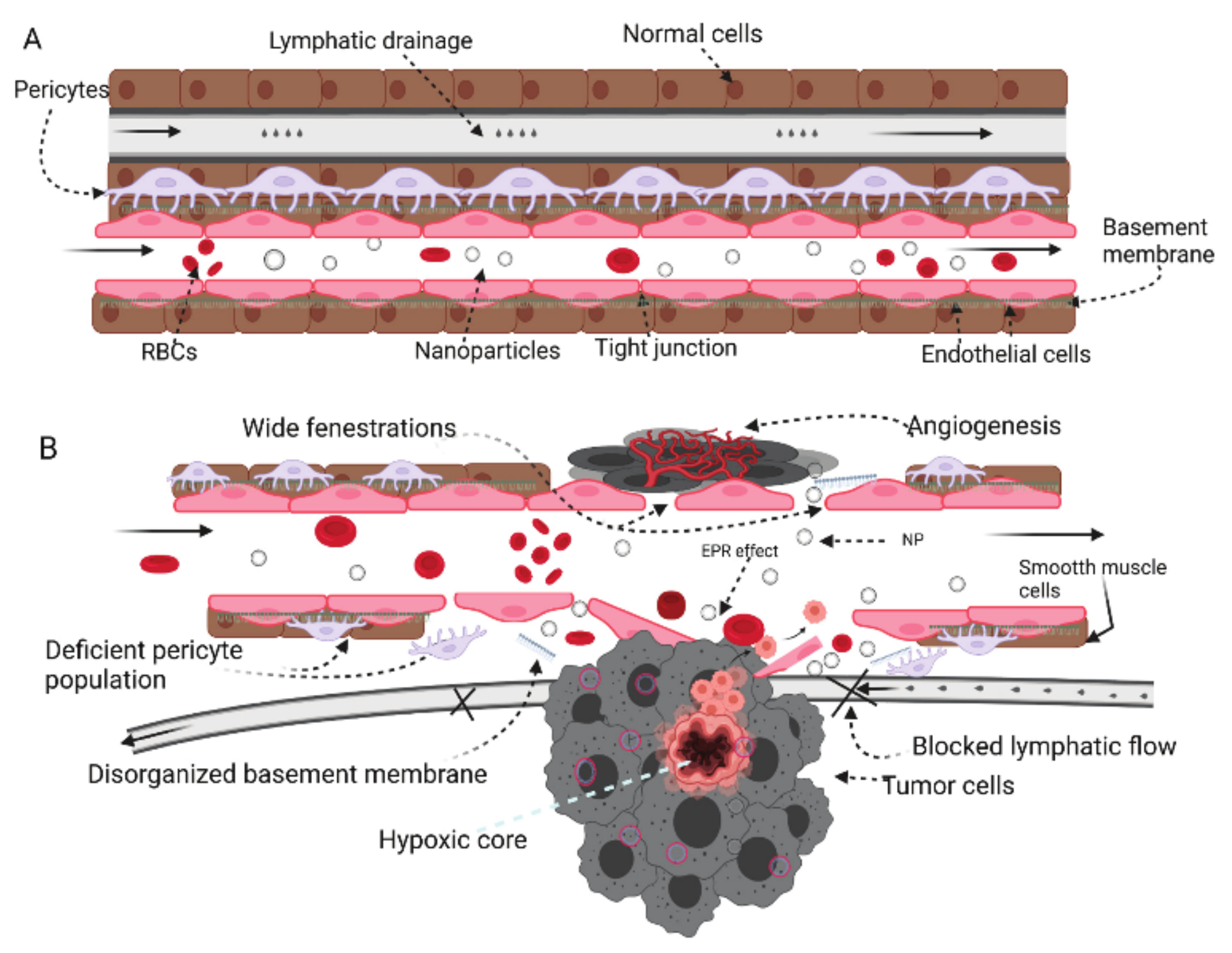 Applsci 12 09479 g004