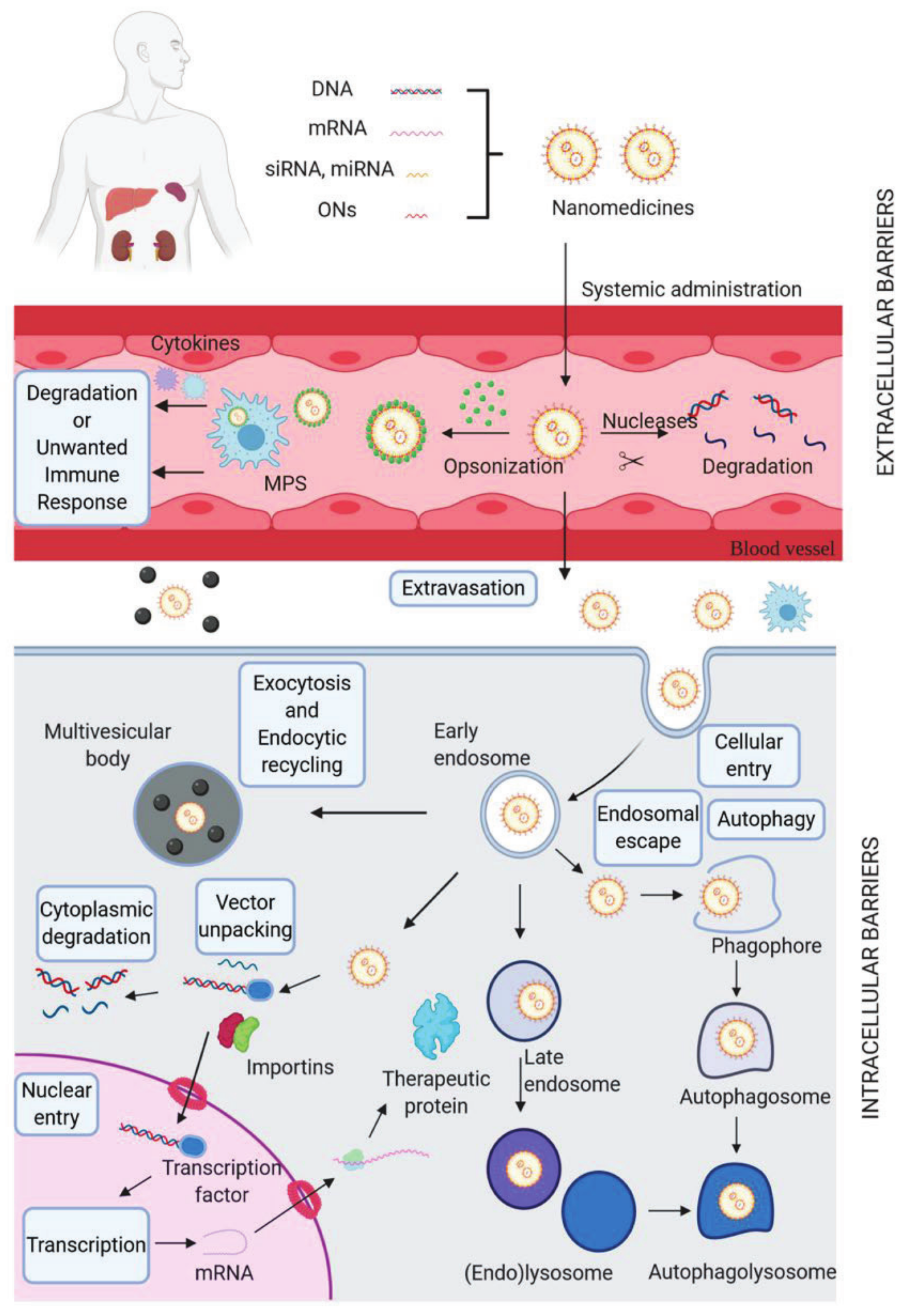 Applsci 12 09479 g007