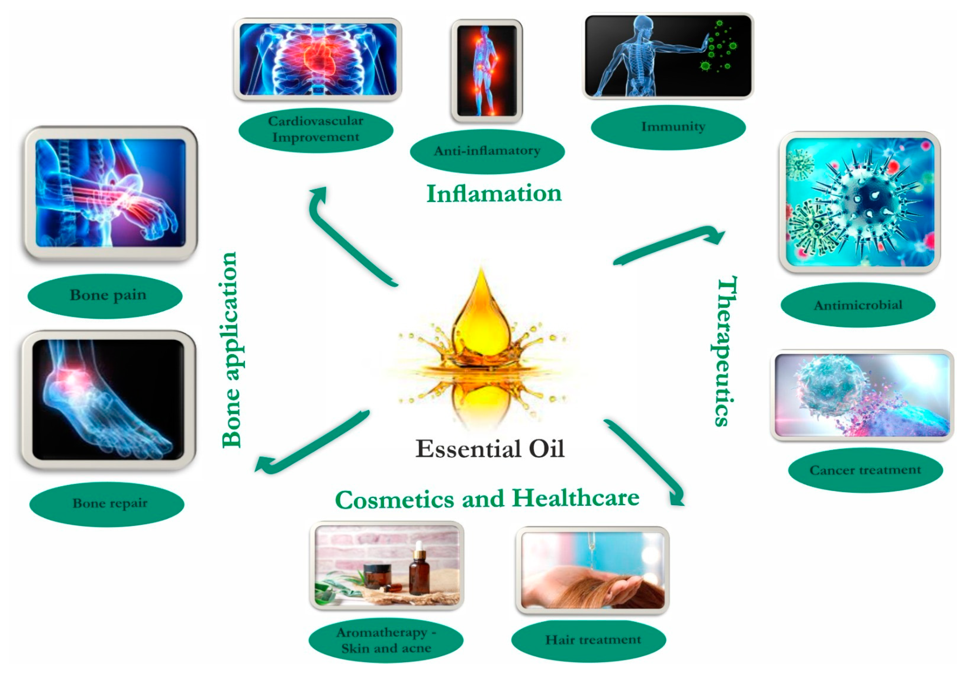 Applsci 12 09482 g001 Applsci 12 09482 g001