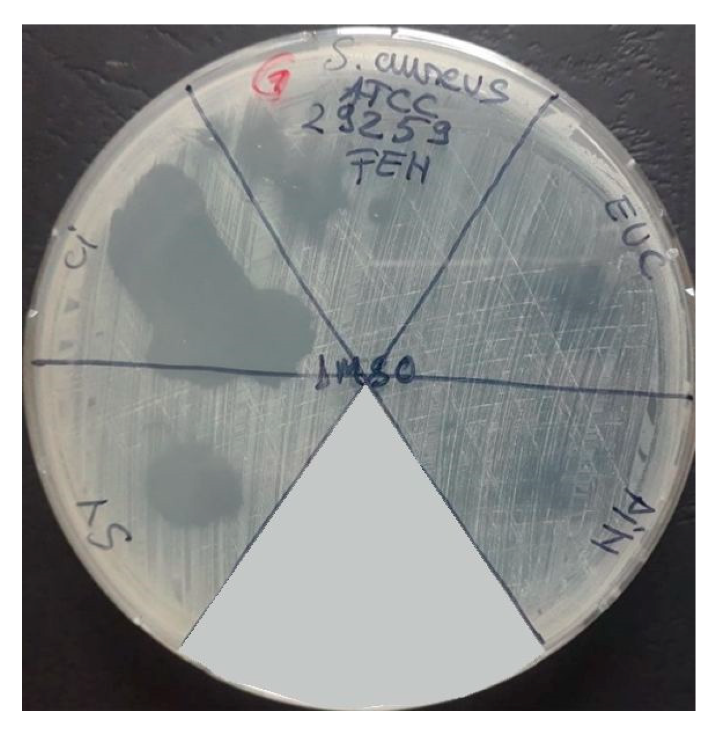 Applsci 12 09482 g003 Applsci 12 09482 g003