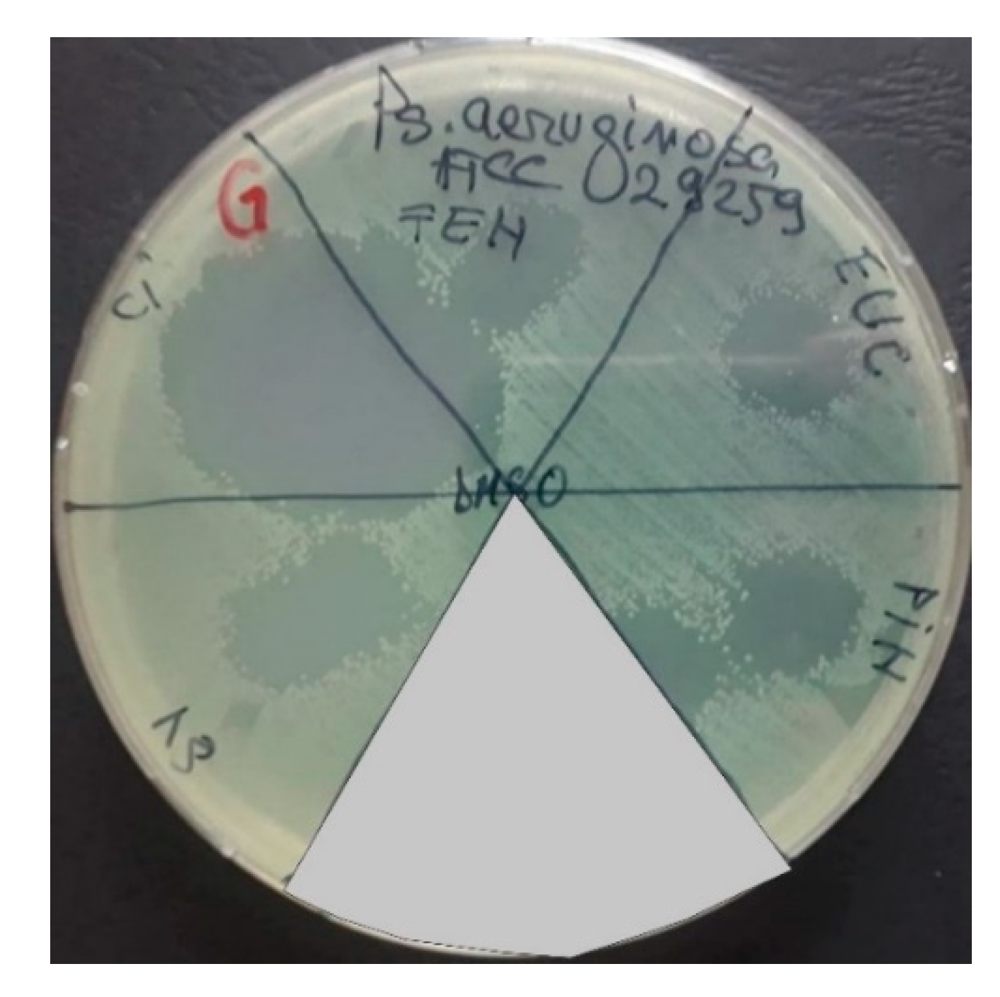 Applsci 12 09482 g004 Applsci 12 09482 g004