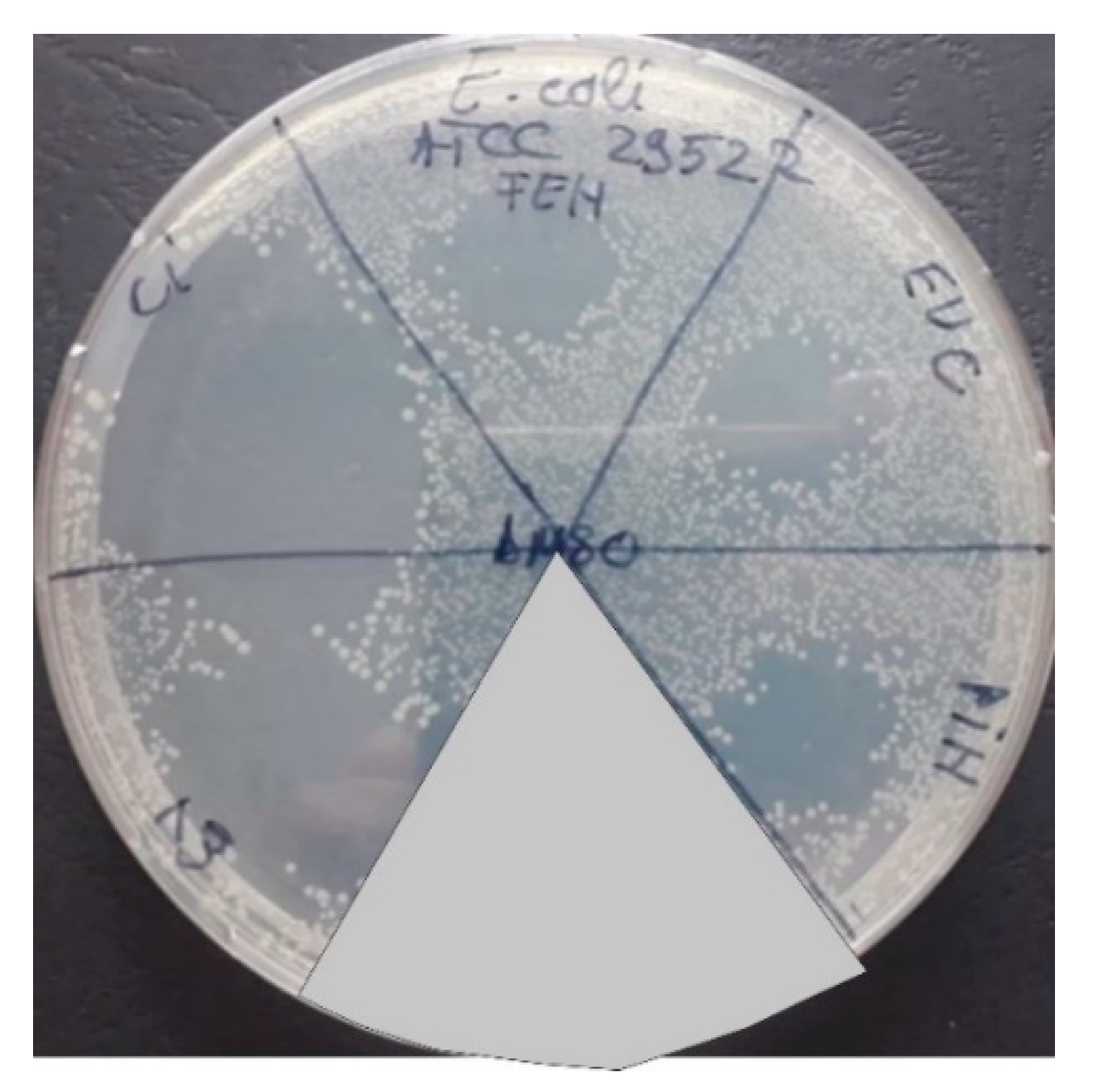 Applsci 12 09482 g005 Applsci 12 09482 g005