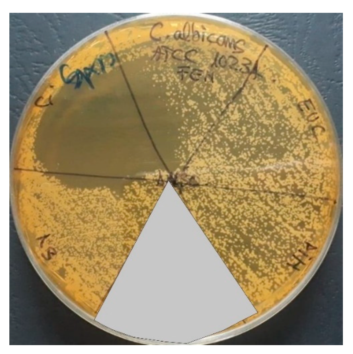 Applsci 12 09482 g006 Applsci 12 09482 g006