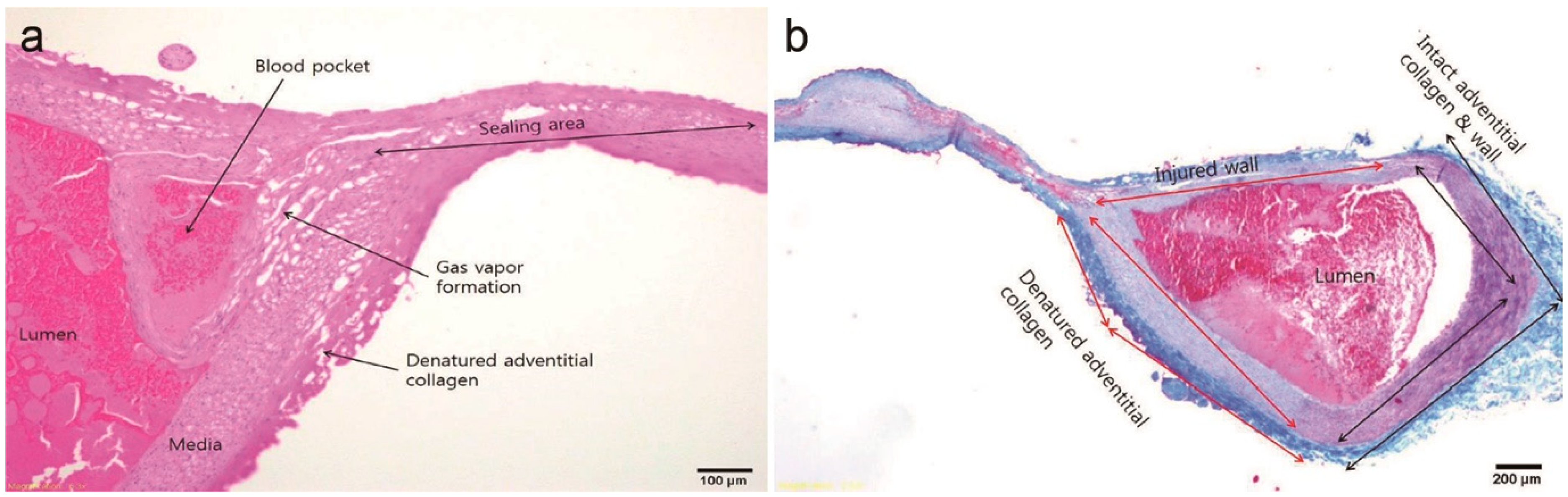 Applsci 12 09490 g002 550
