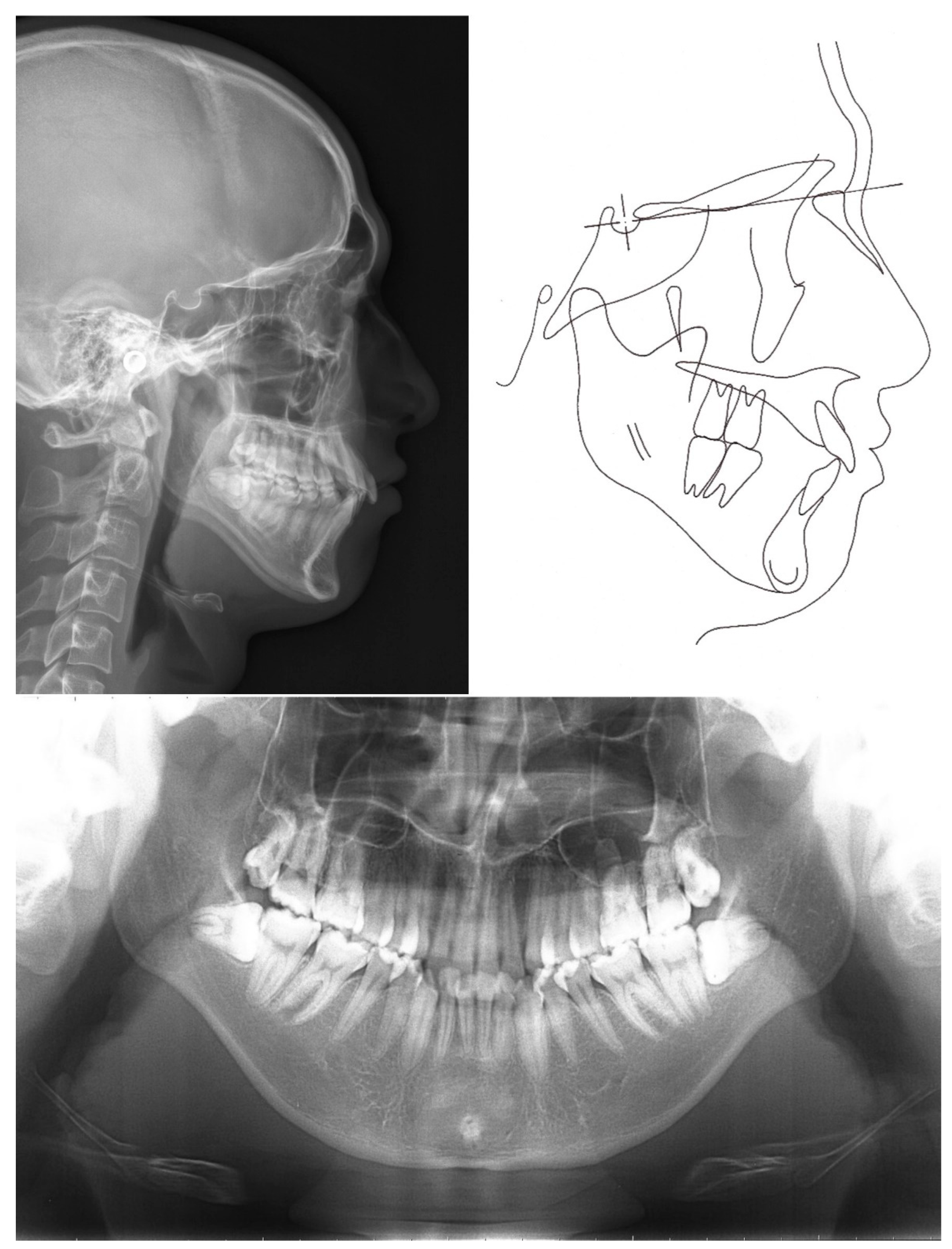 Applsci 12 09494 g003 550