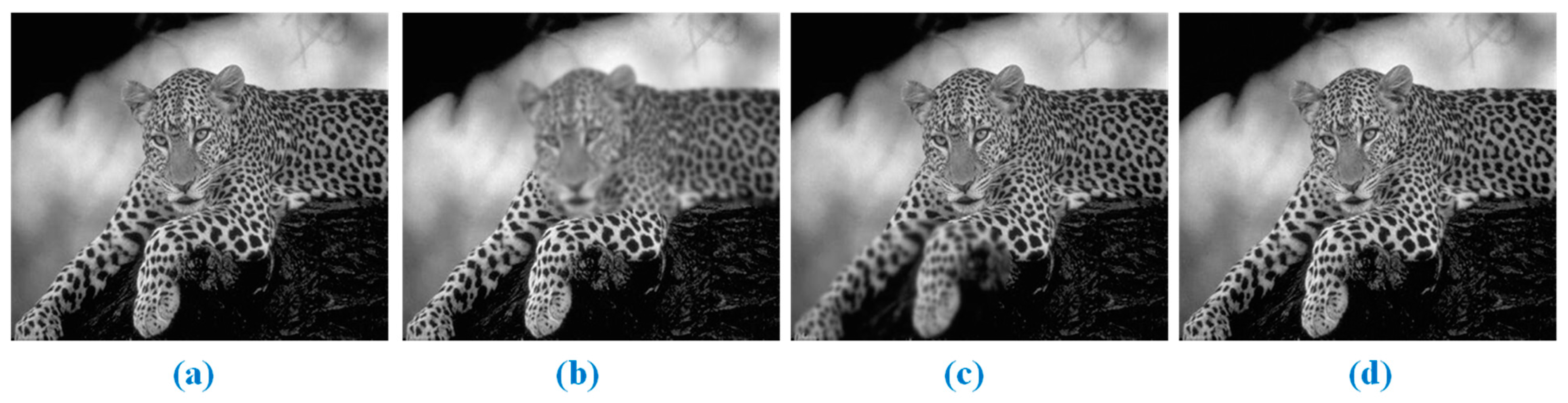 Applsci 12 09495 g005