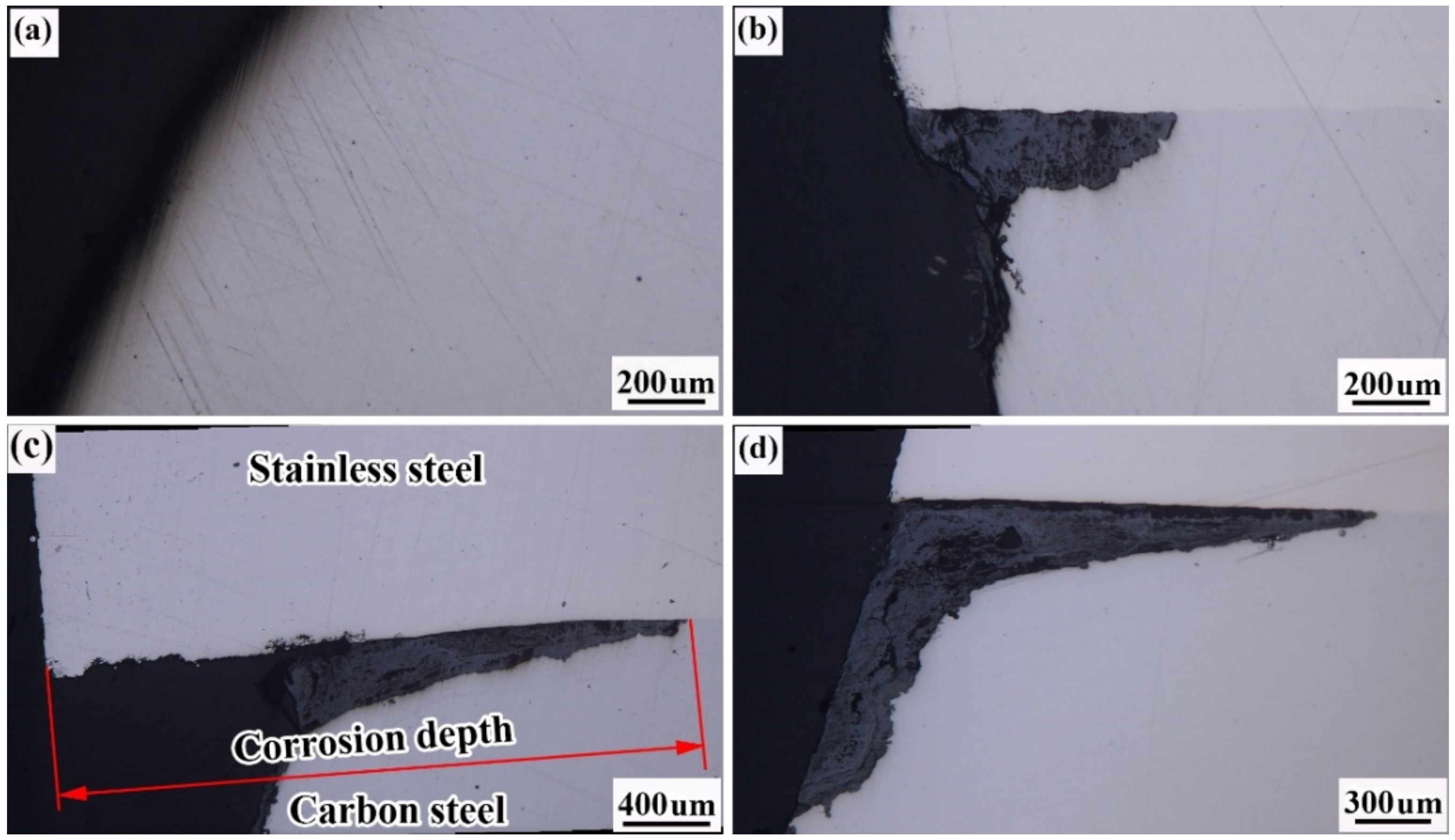 Applsci 12 09519 g018