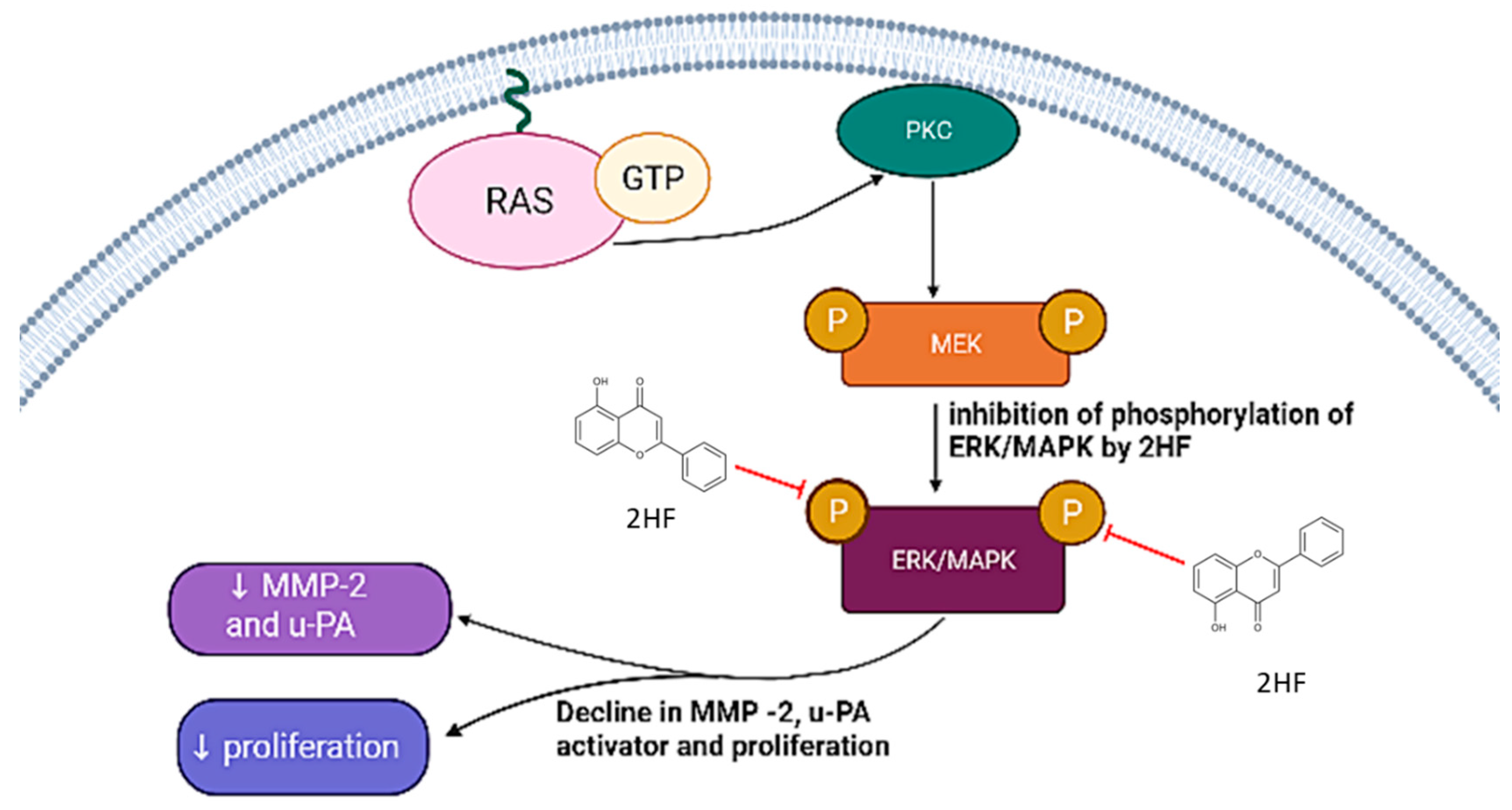 Applsci 12 09543 g003 Applsci 12 09543 g003