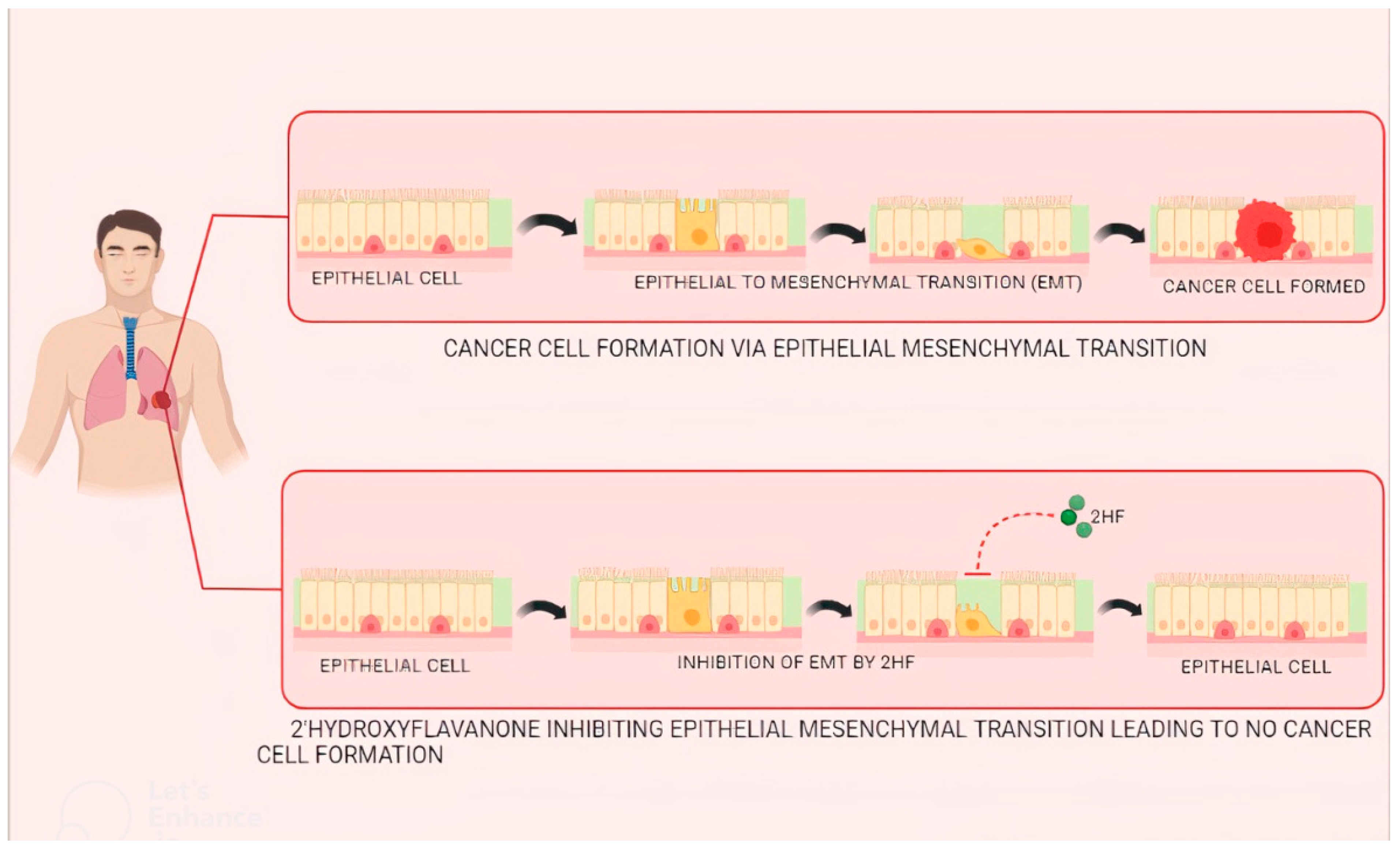 Applsci 12 09543 g004 Applsci 12 09543 g004