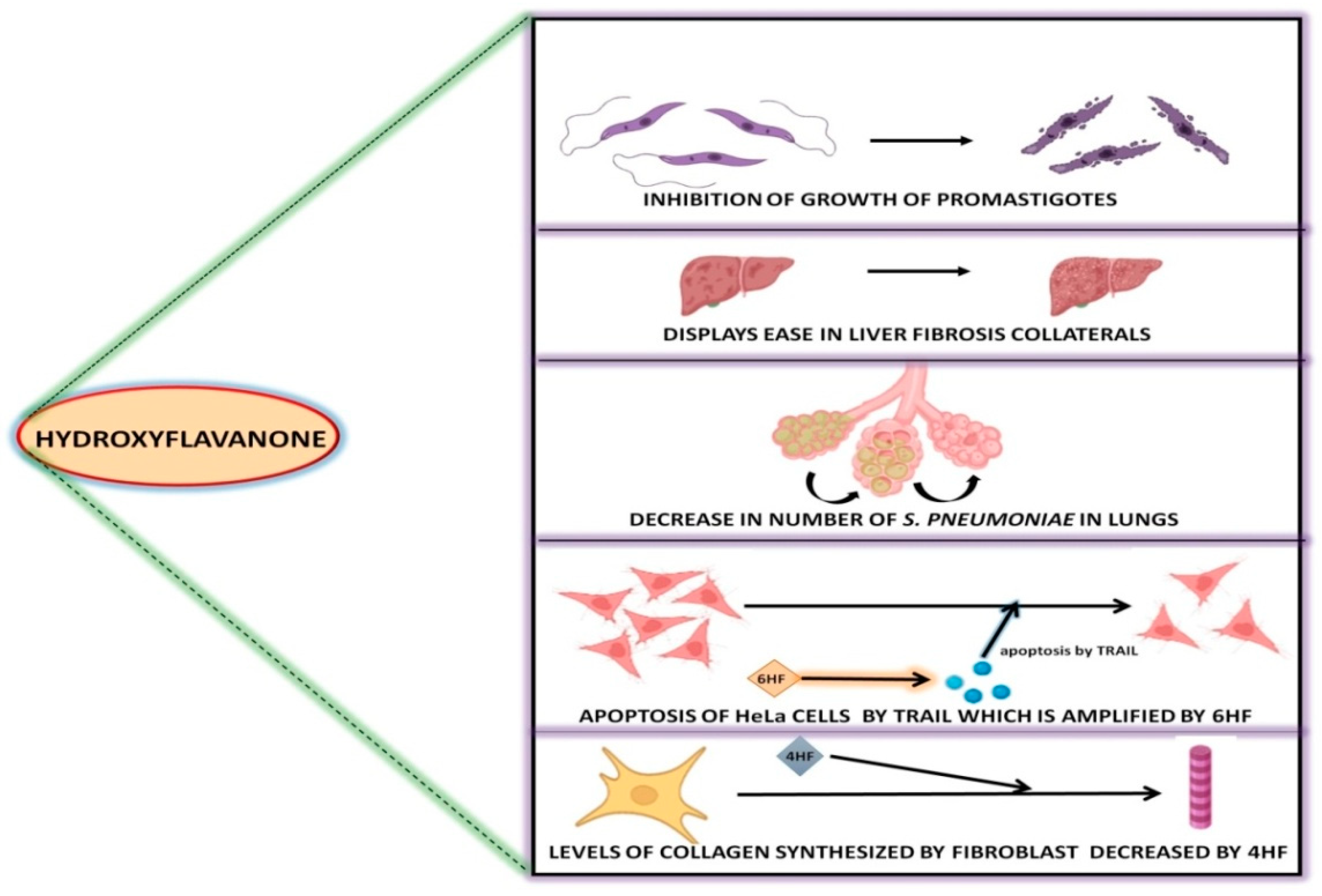 Applsci 12 09543 g005 Applsci 12 09543 g005