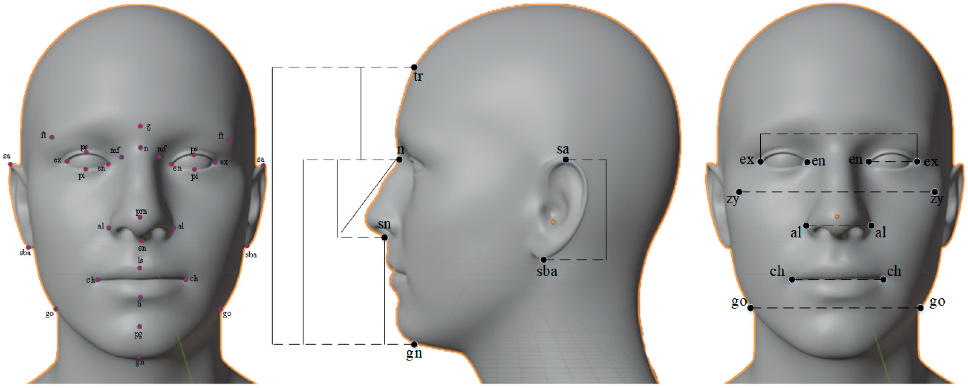 Applied Sciences Free FullText Review Facial Anthropometric