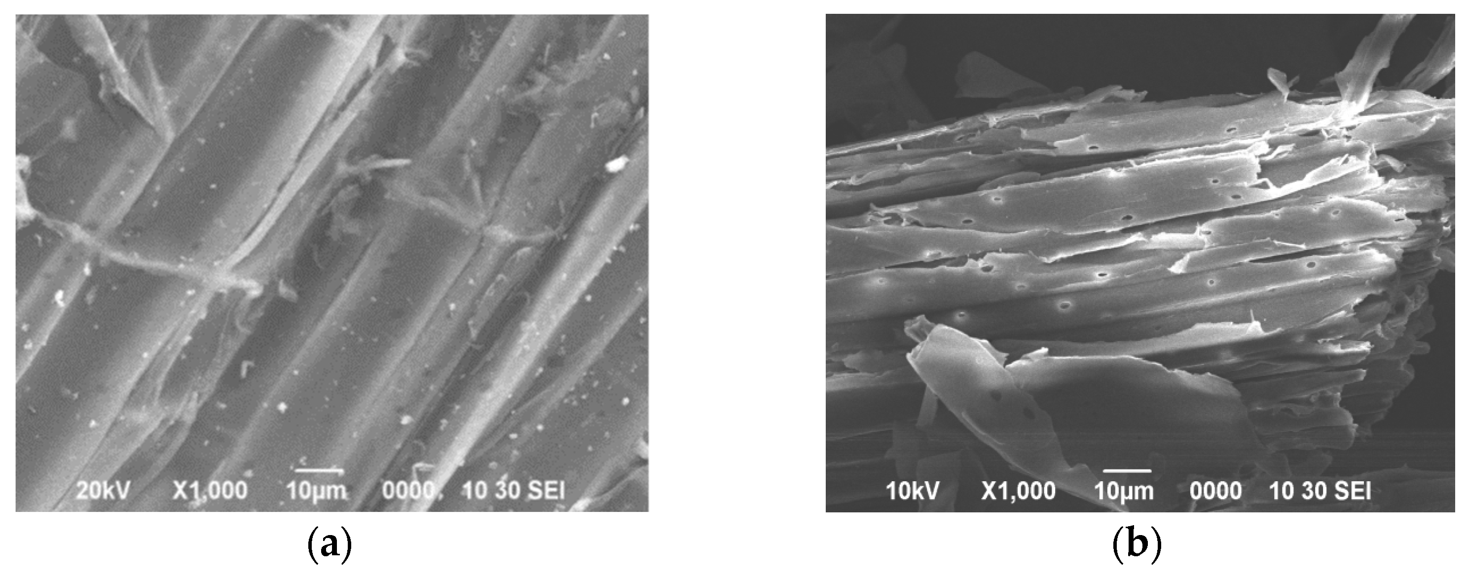 Applsci 12 09562 g006 Applsci 12 09562 g006