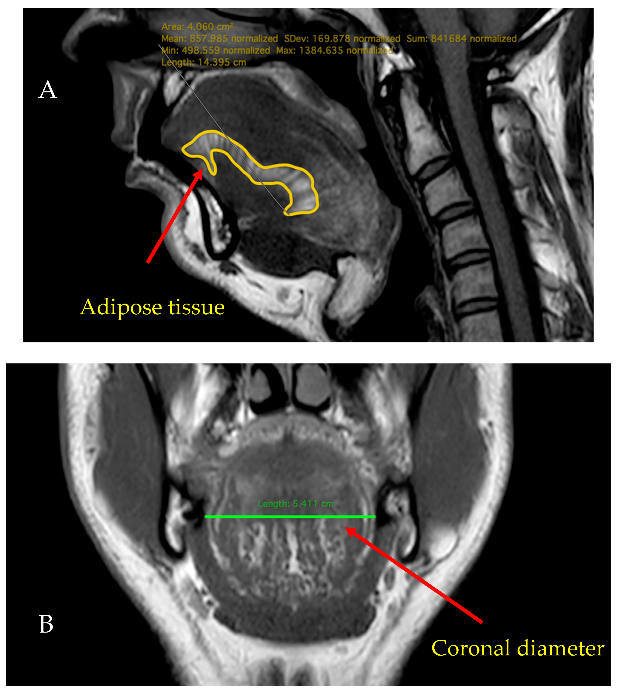 Applsci 12 09583 g002a