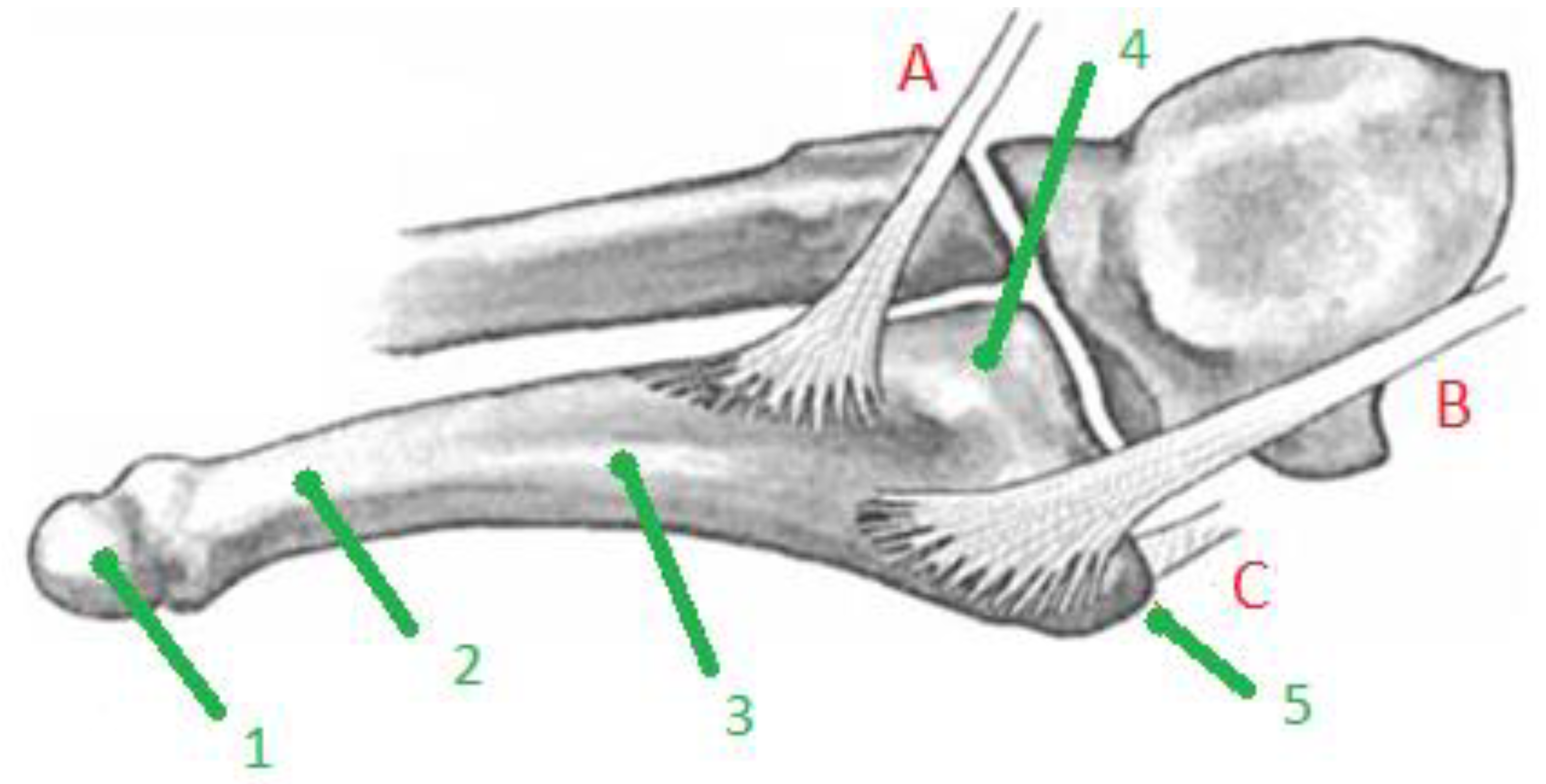 Applsci 12 09615 g002