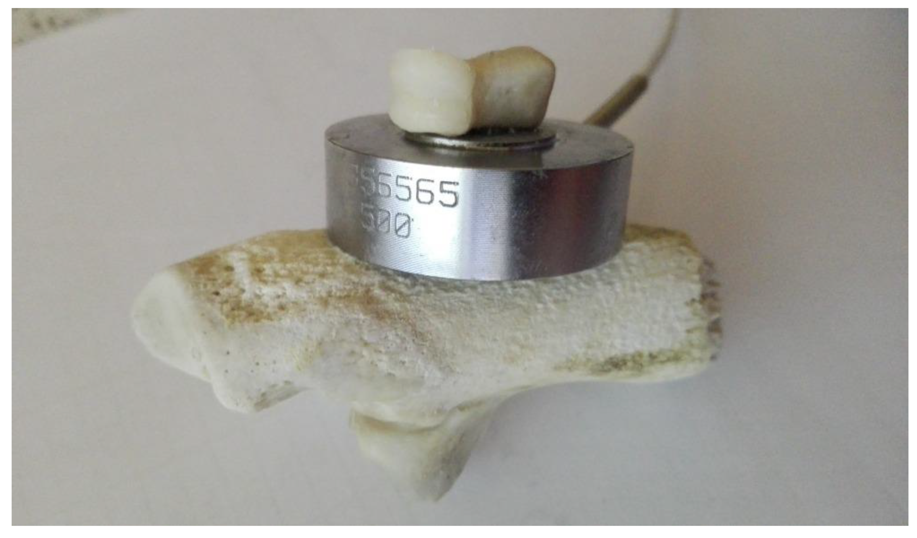 Applsci 12 09615 g012