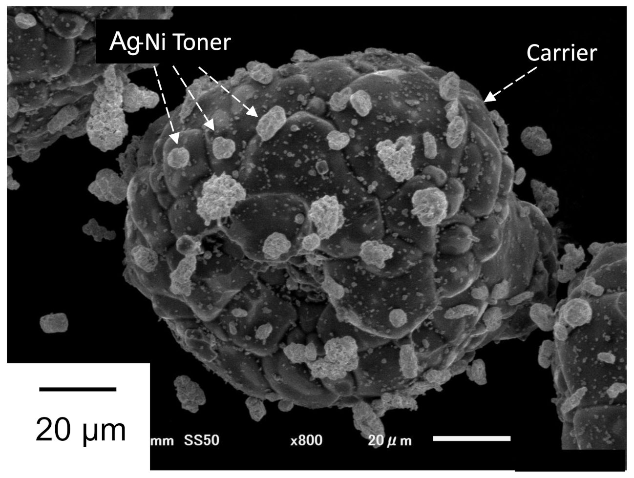 Applsci 12 09616 g003