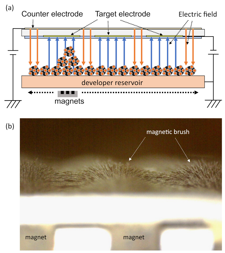 Applsci 12 09616 g005