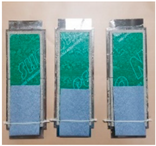 Applsci 12 09619 i006 Applsci 12 09619 i006