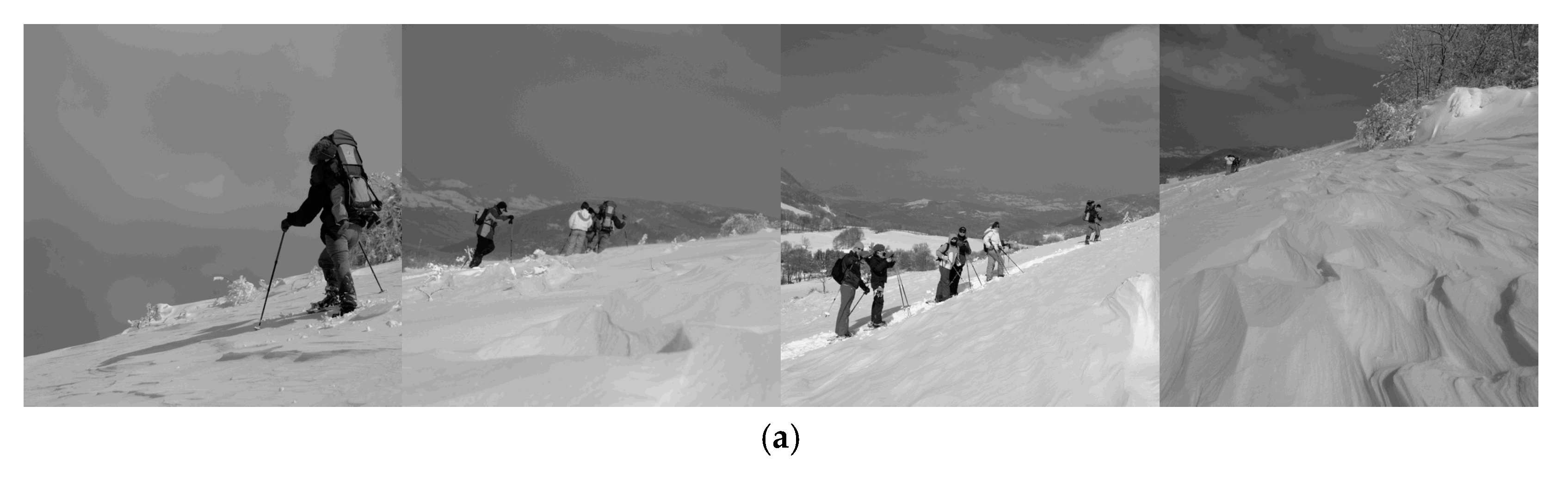 Applsci 12 09629 g008a 550