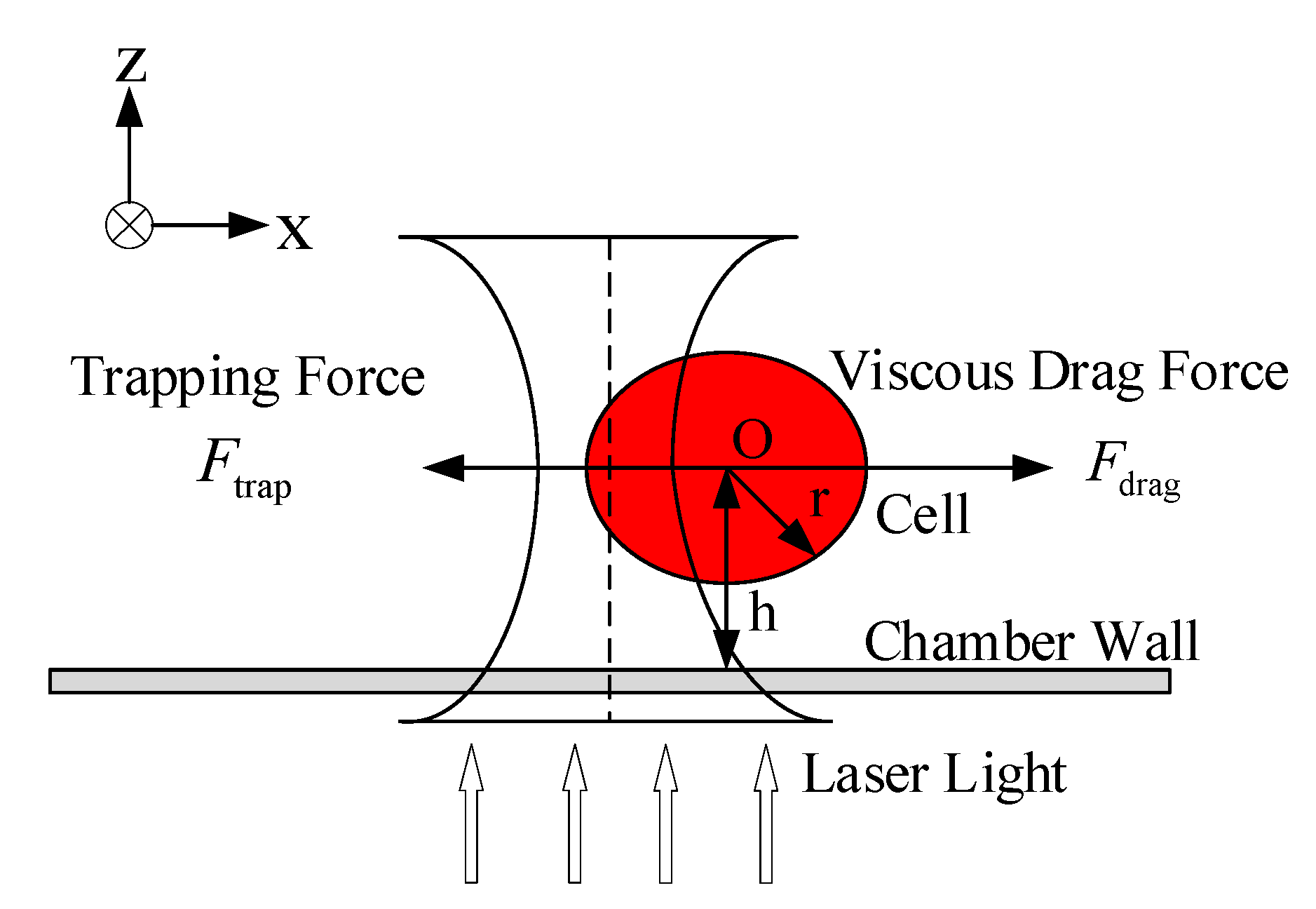 Applsci 12 09655 g003 Applsci 12 09655 g003