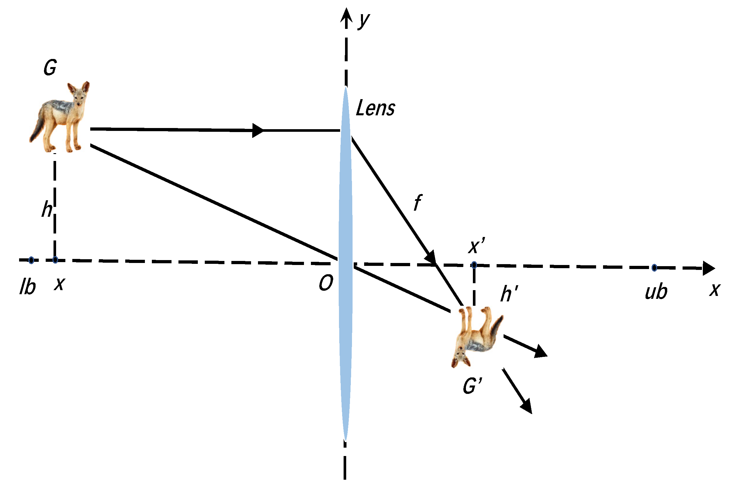 Applsci 12 09709 g001