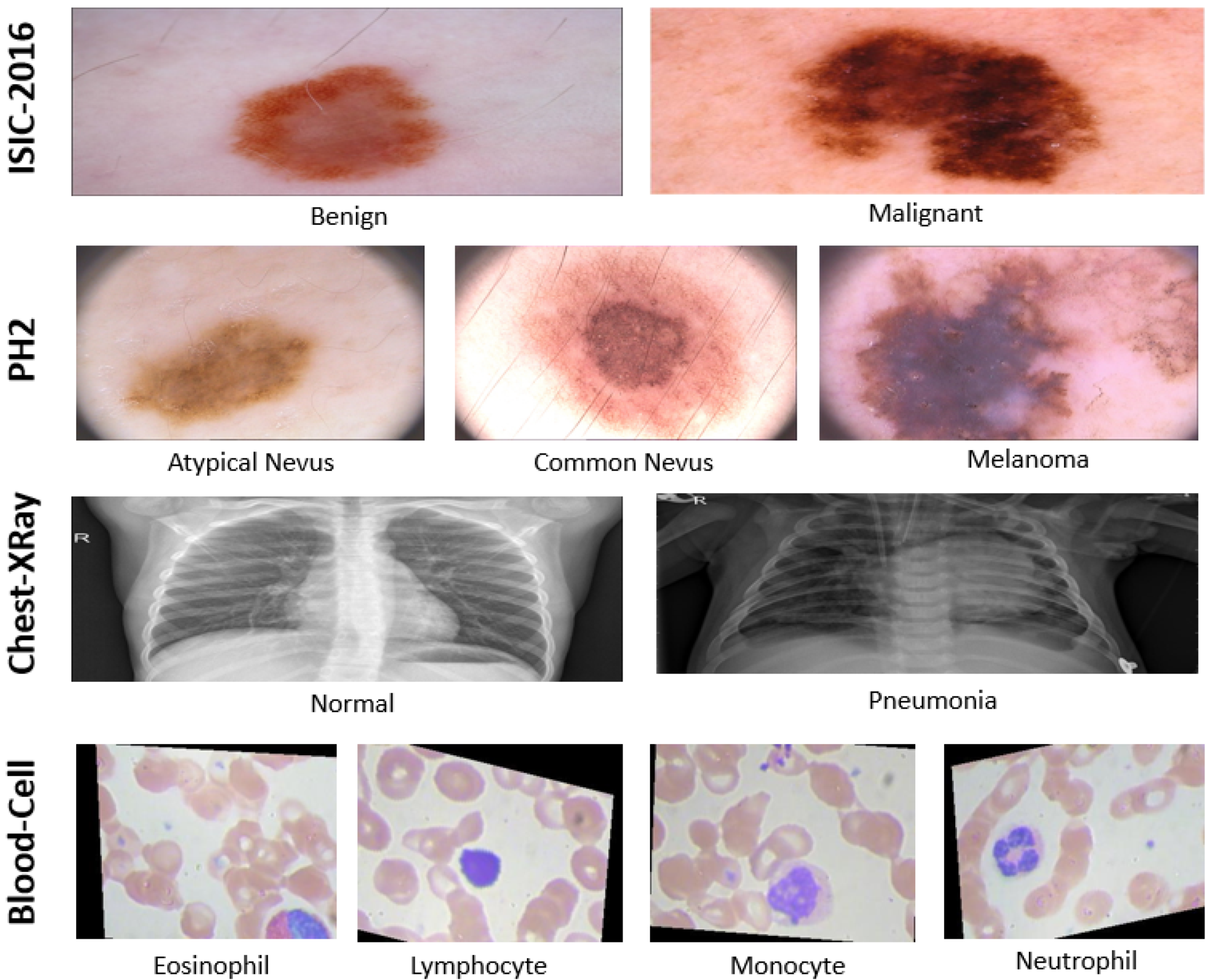 Applsci 12 09710 g005 550