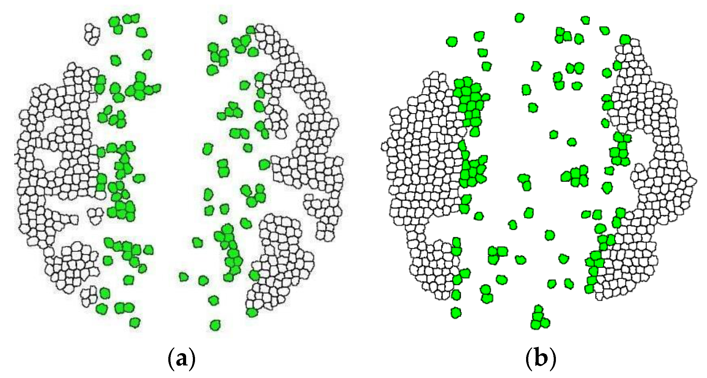 Applsci 12 09749 g006