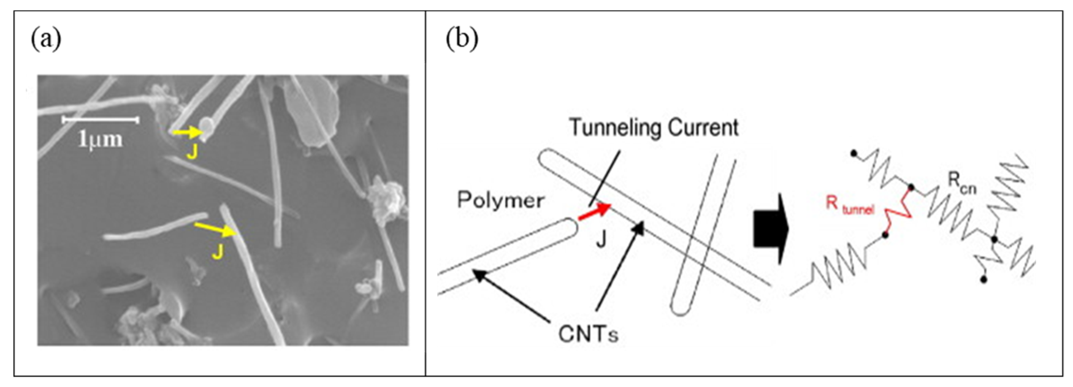Applsci 12 09750 g002