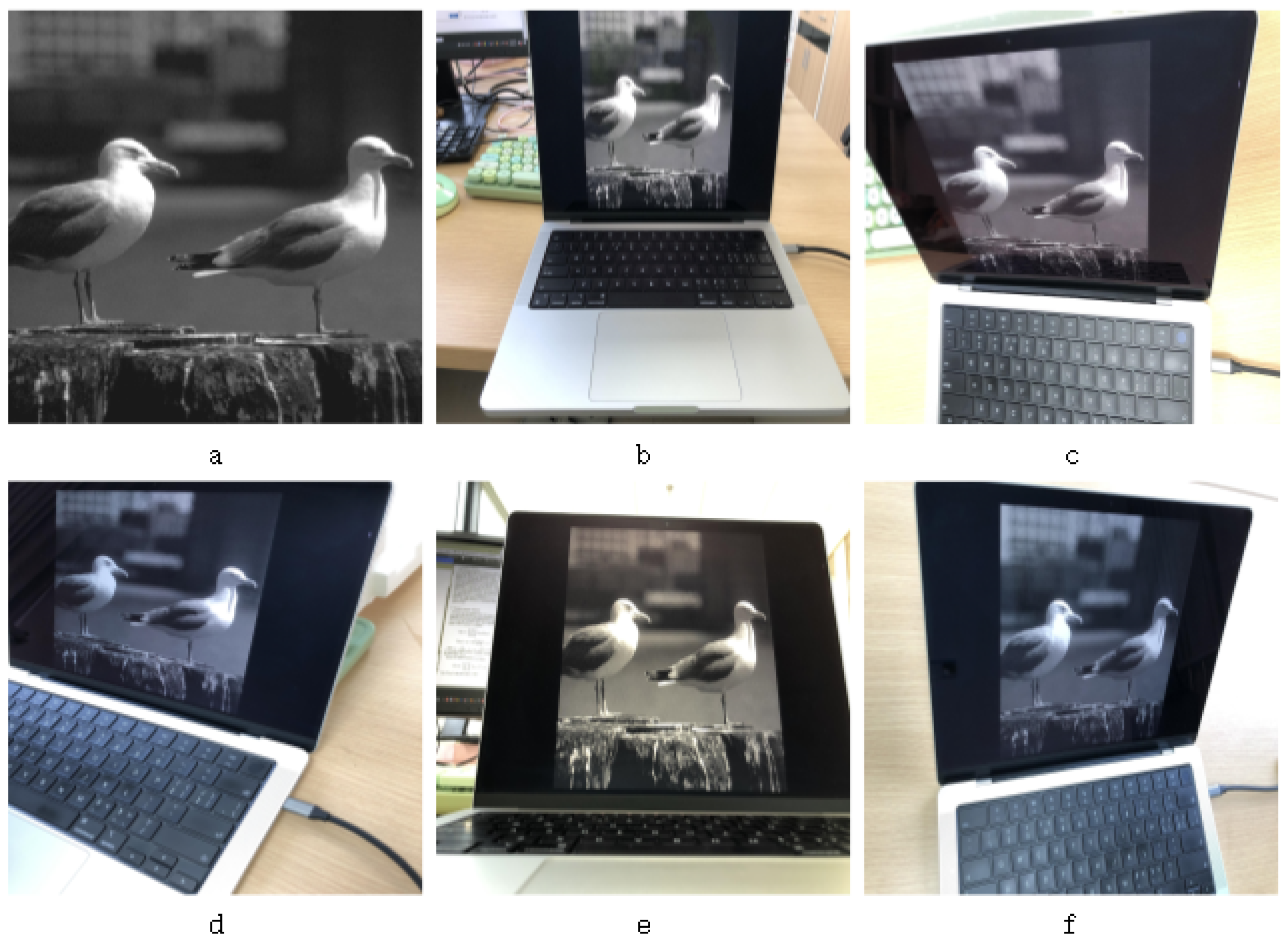 Applsci 12 09780 g001