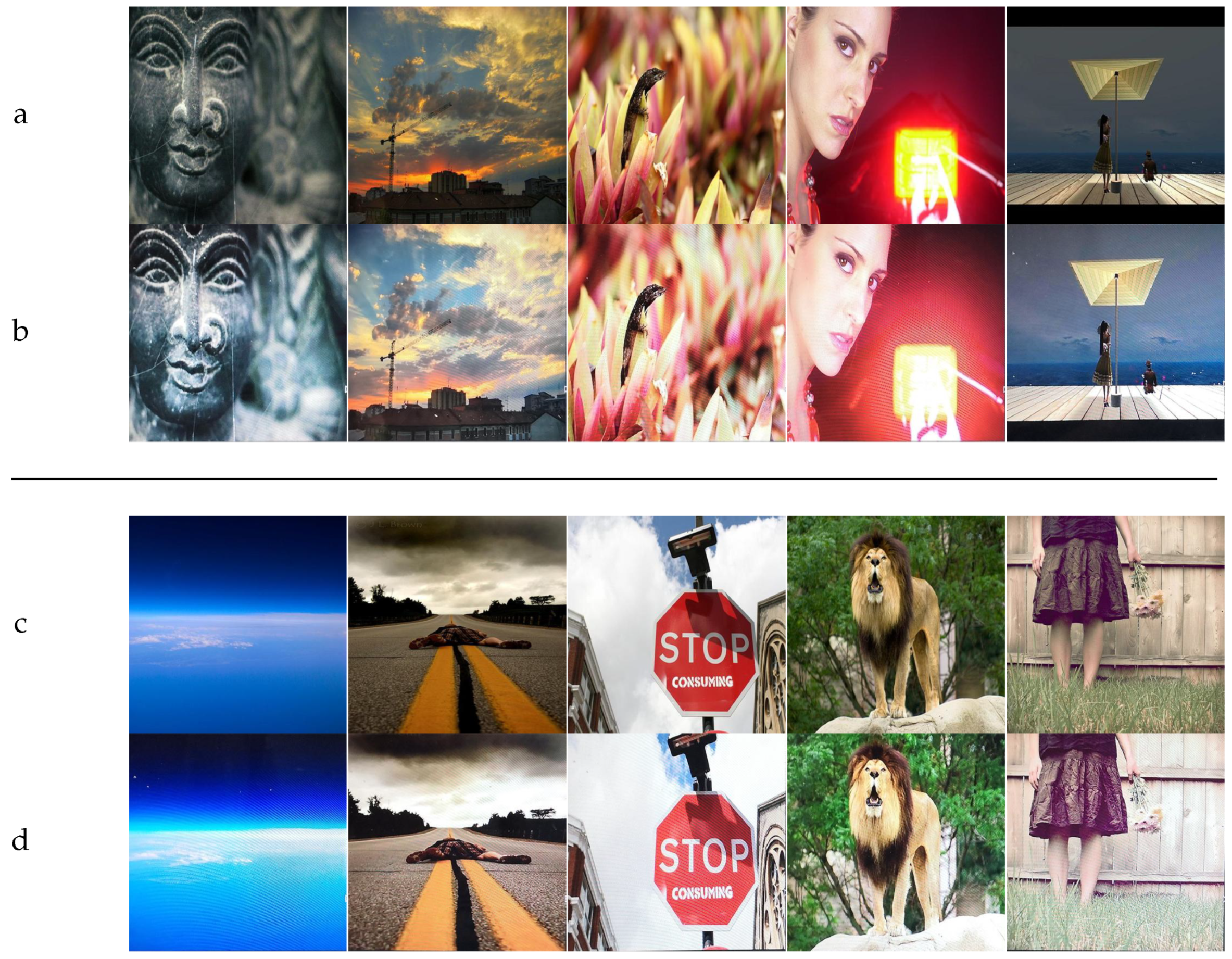 Applsci 12 09780 g006