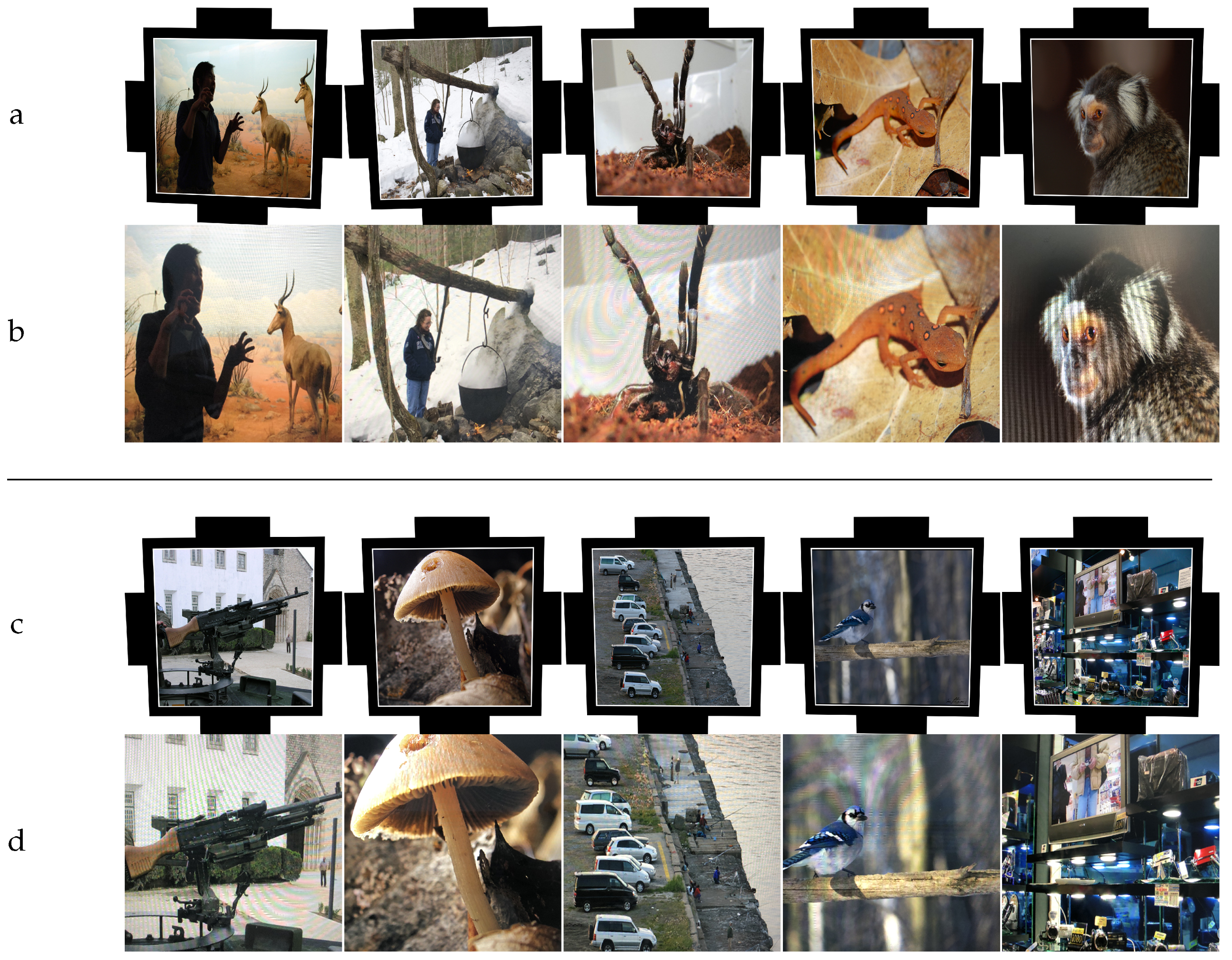 Applsci 12 09780 g007