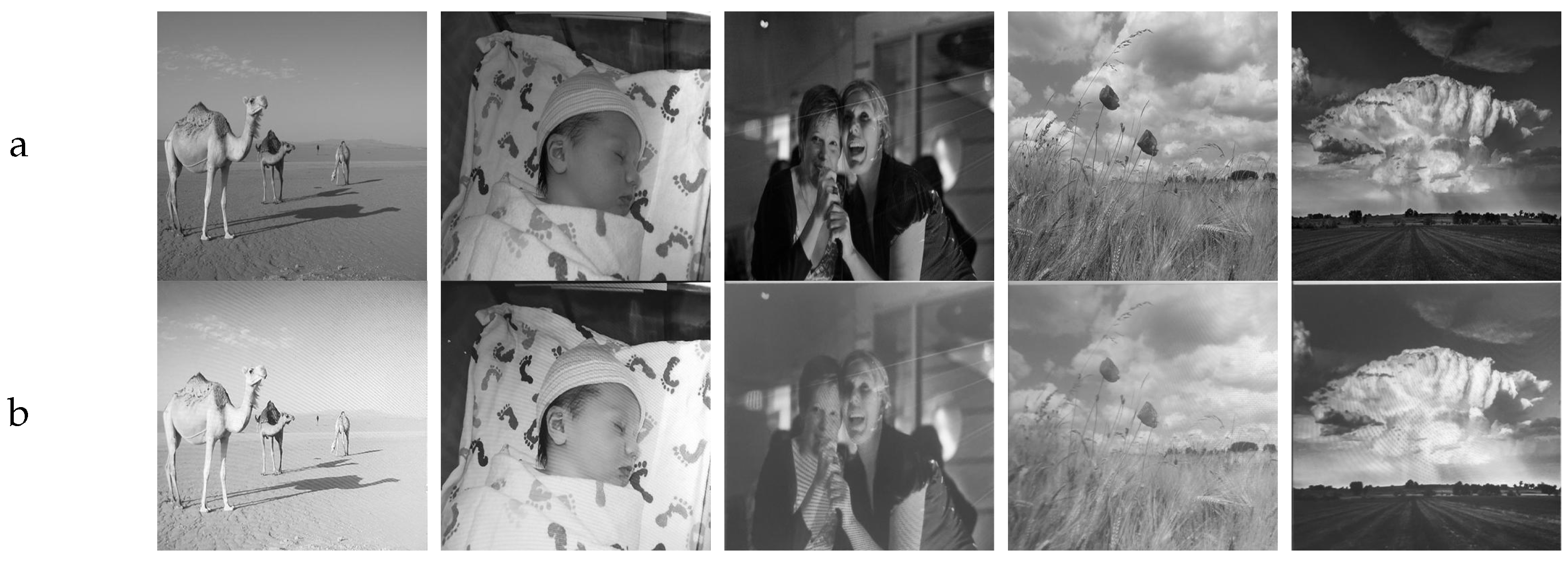 Applsci 12 09780 g008