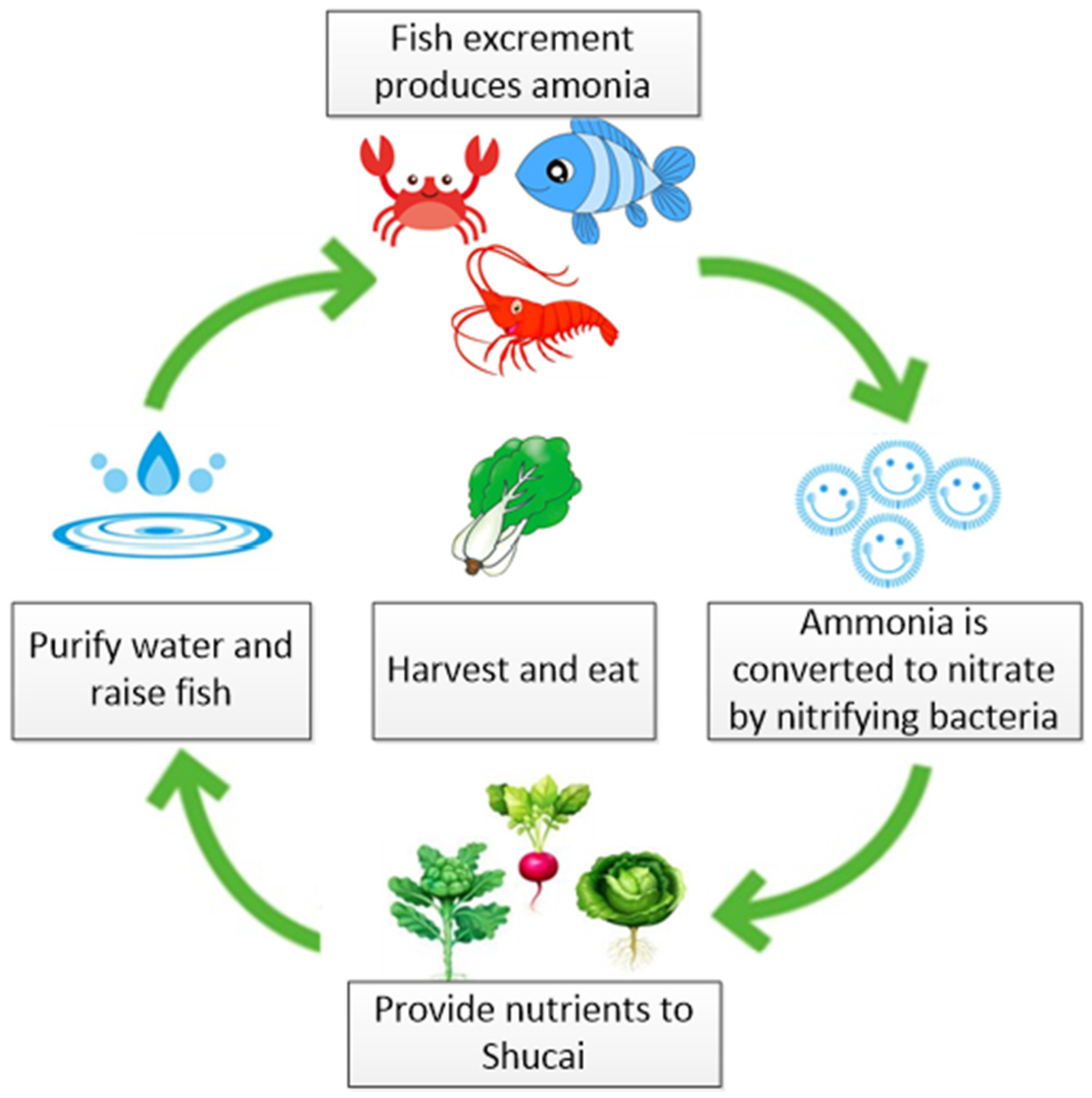 Applsci 12 09809 g001 Applsci 12 09809 g001