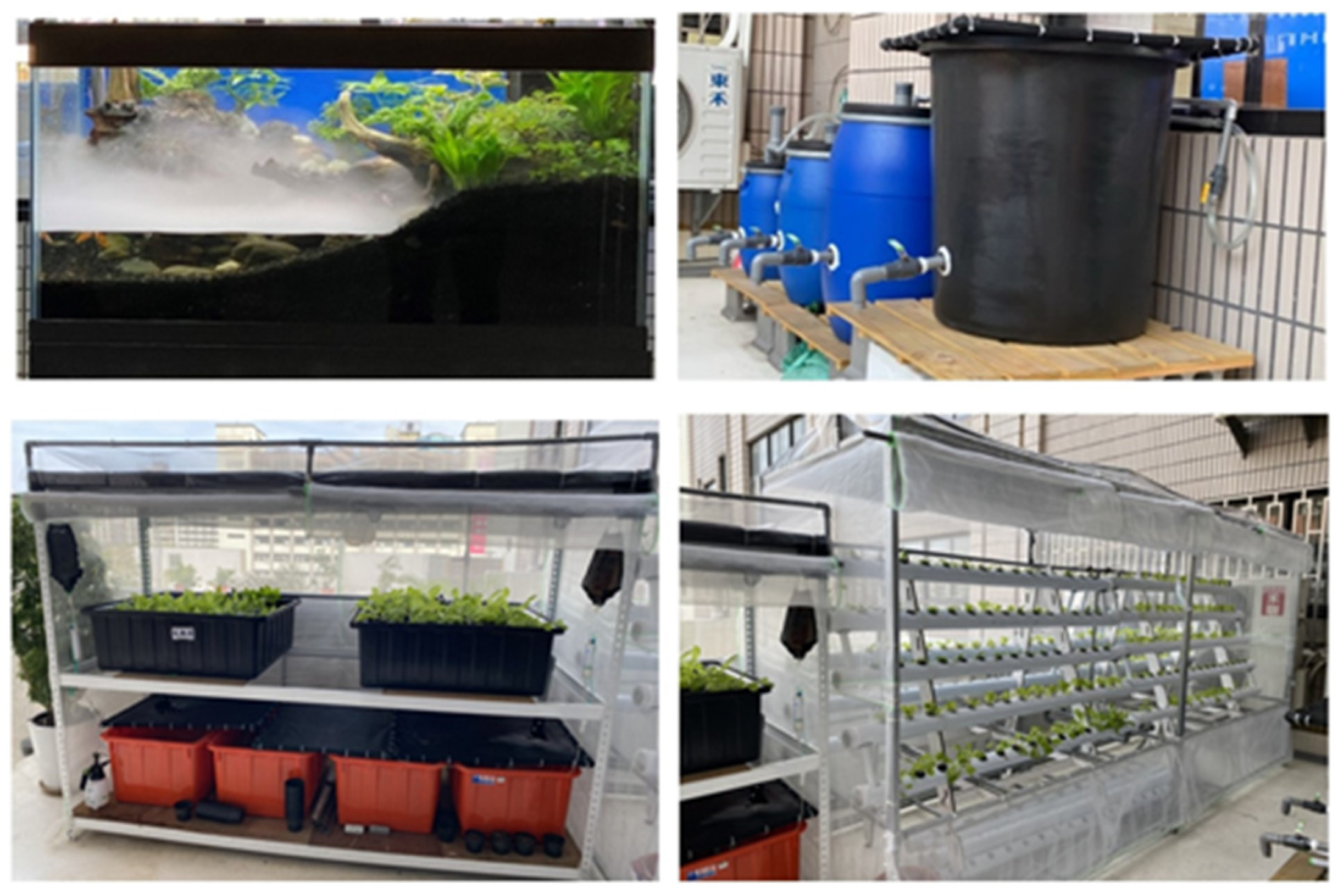 Applsci 12 09809 g009 Applsci 12 09809 g009