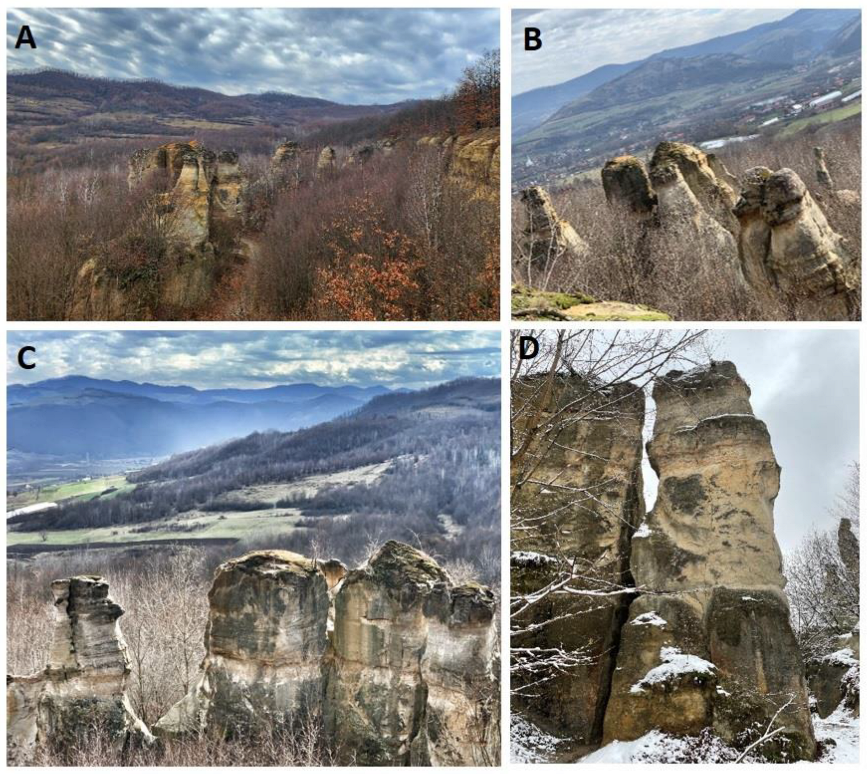 Applsci 12 09816 g002