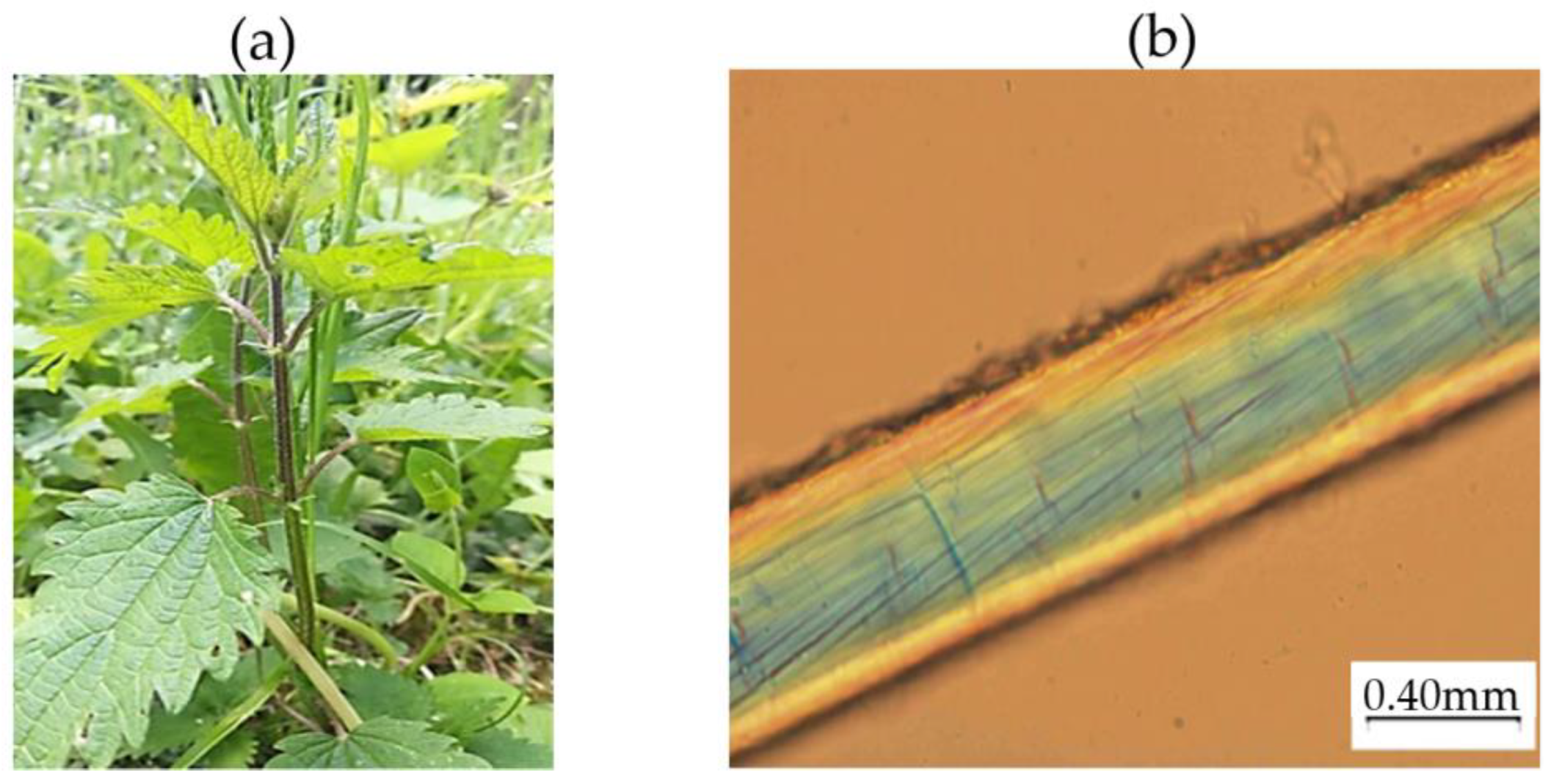 Applsci 12 09835 g001