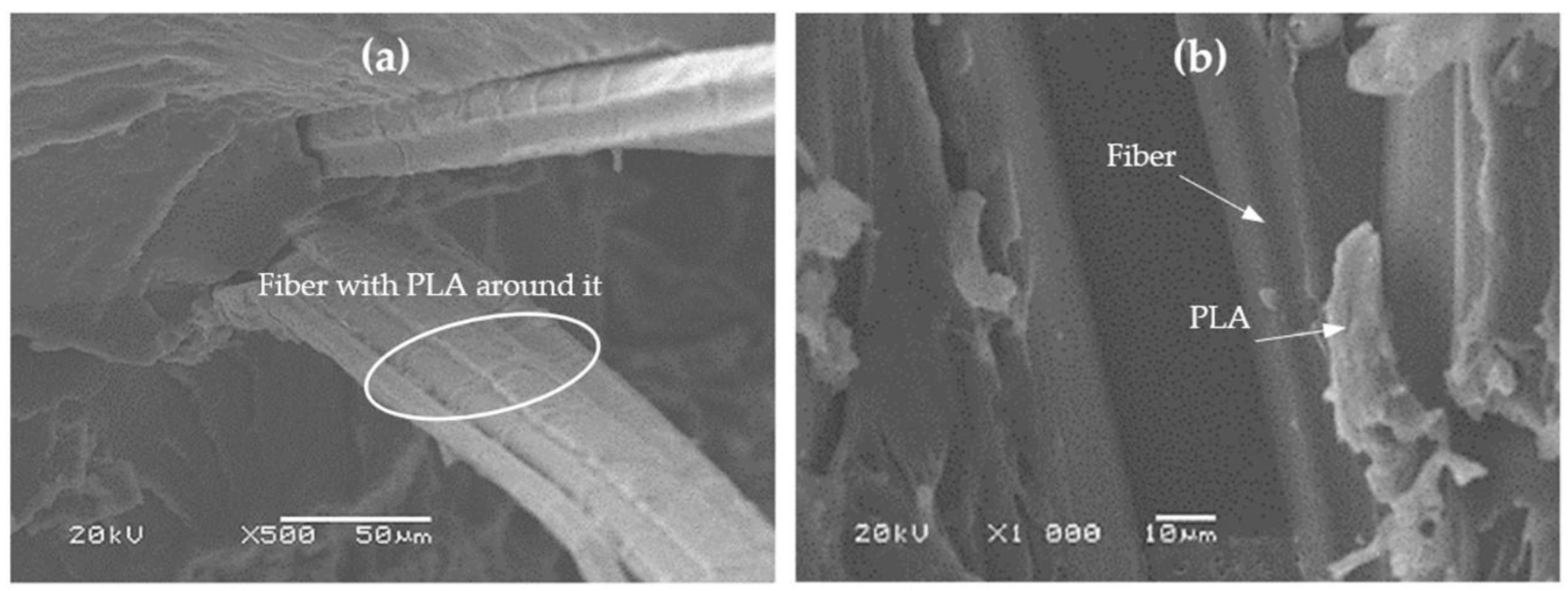 Applsci 12 09835 g009