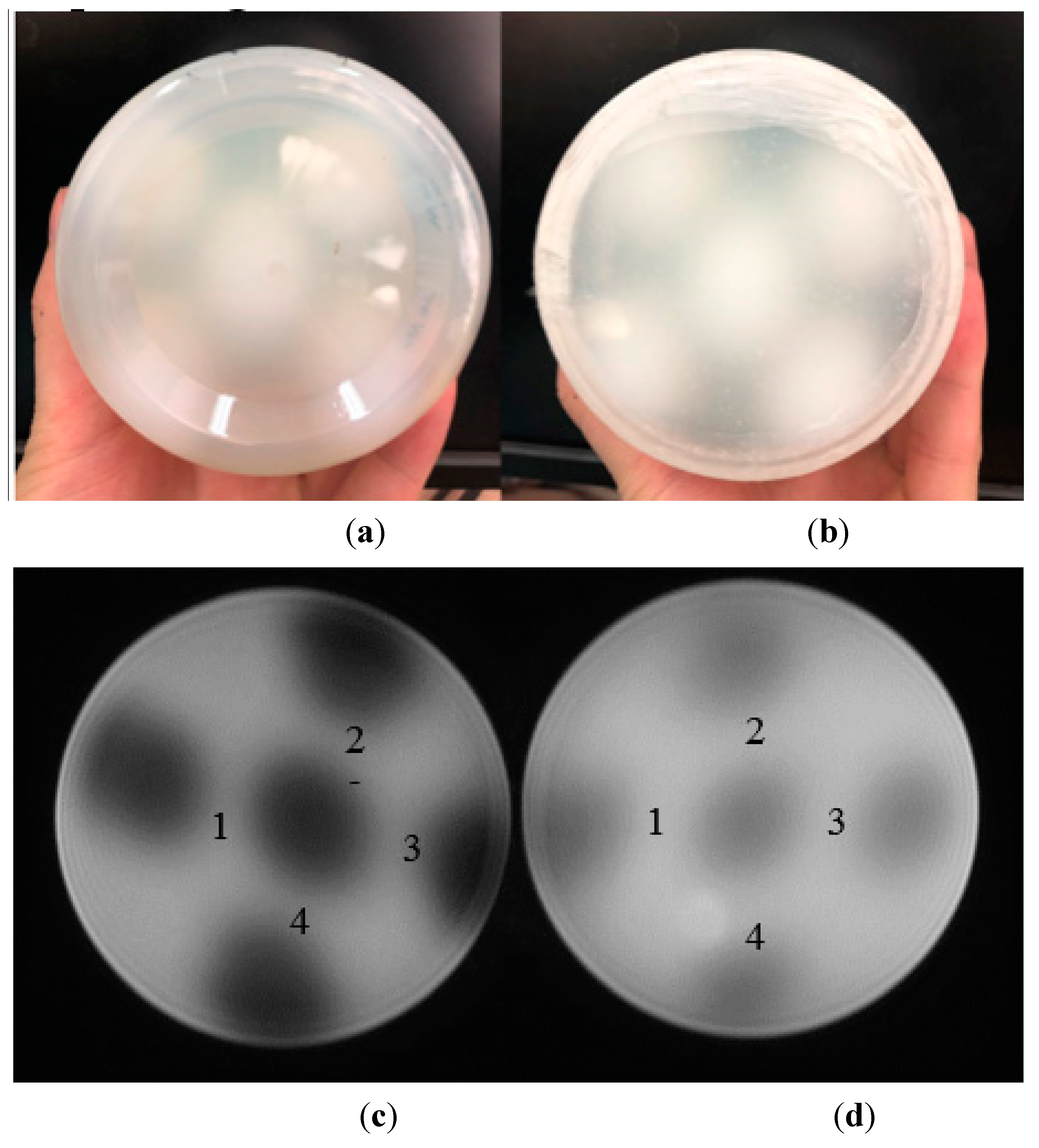 Applsci 12 09839 g005