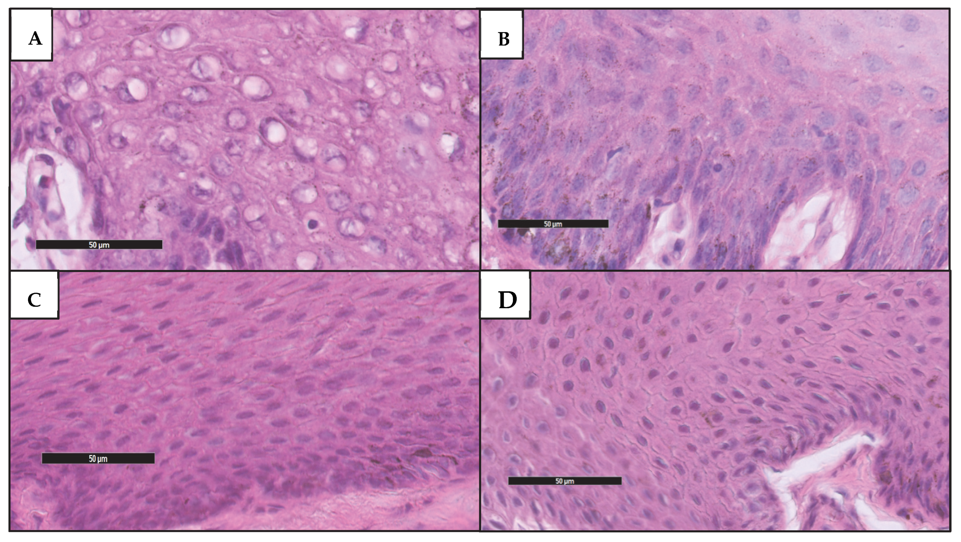 Applsci 12 09842 g008 Applsci 12 09842 g008