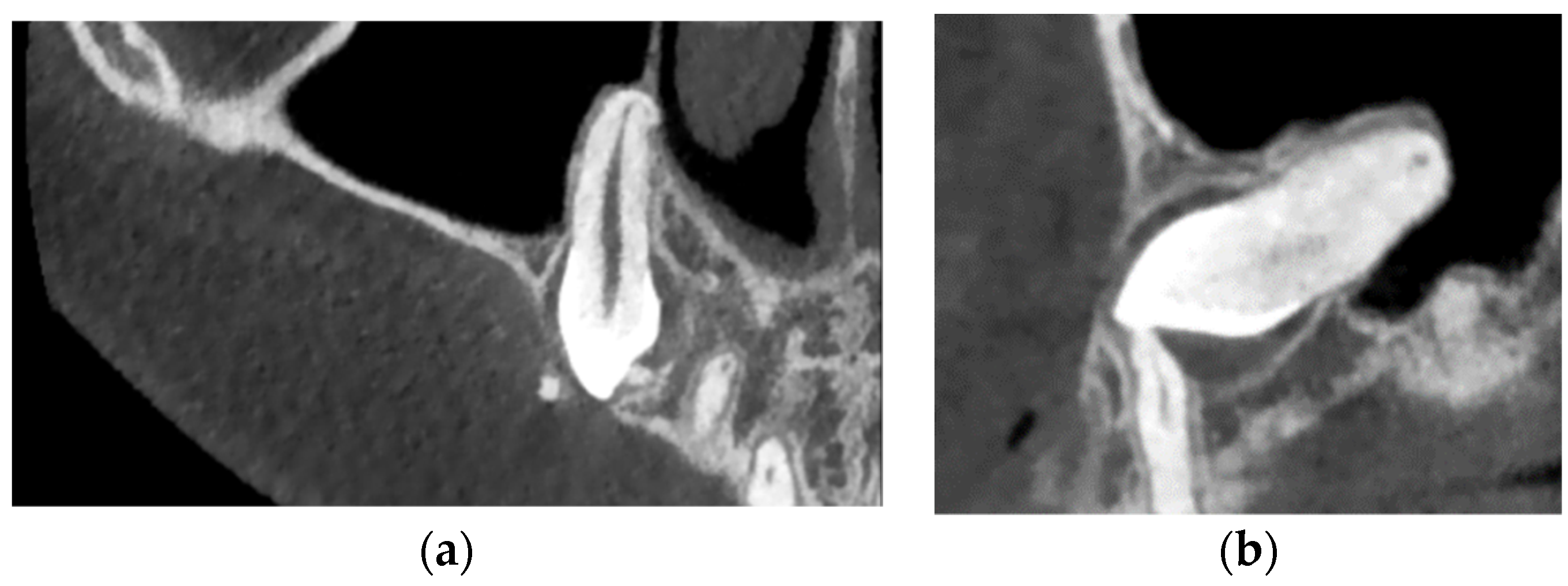 Applsci 12 09854 g002