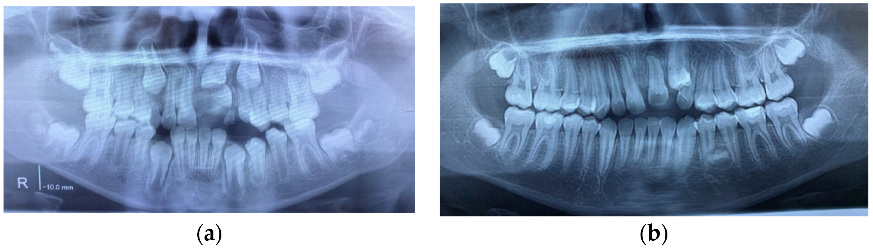 Applsci 12 09854 g003