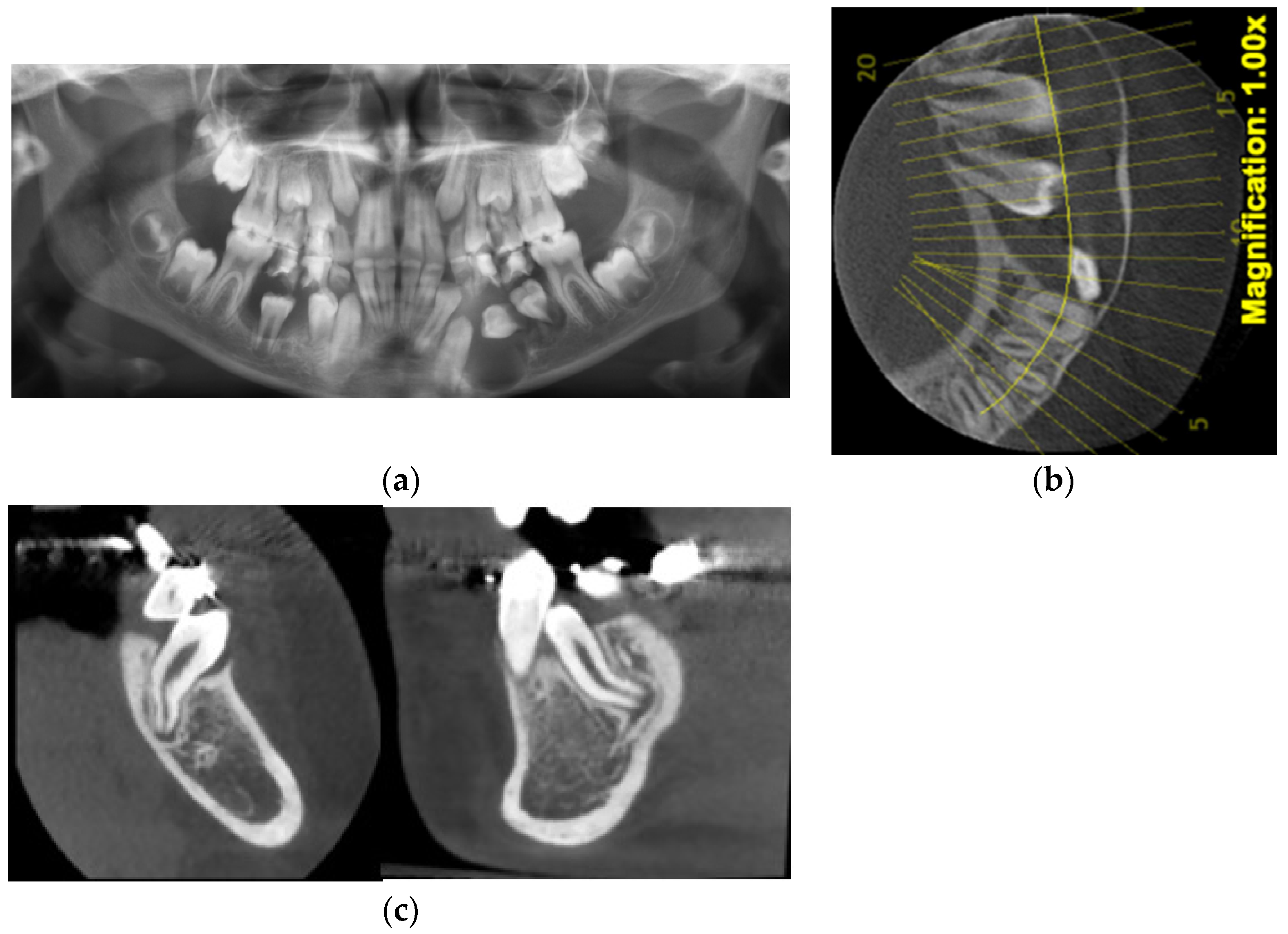 Applsci 12 09854 g004